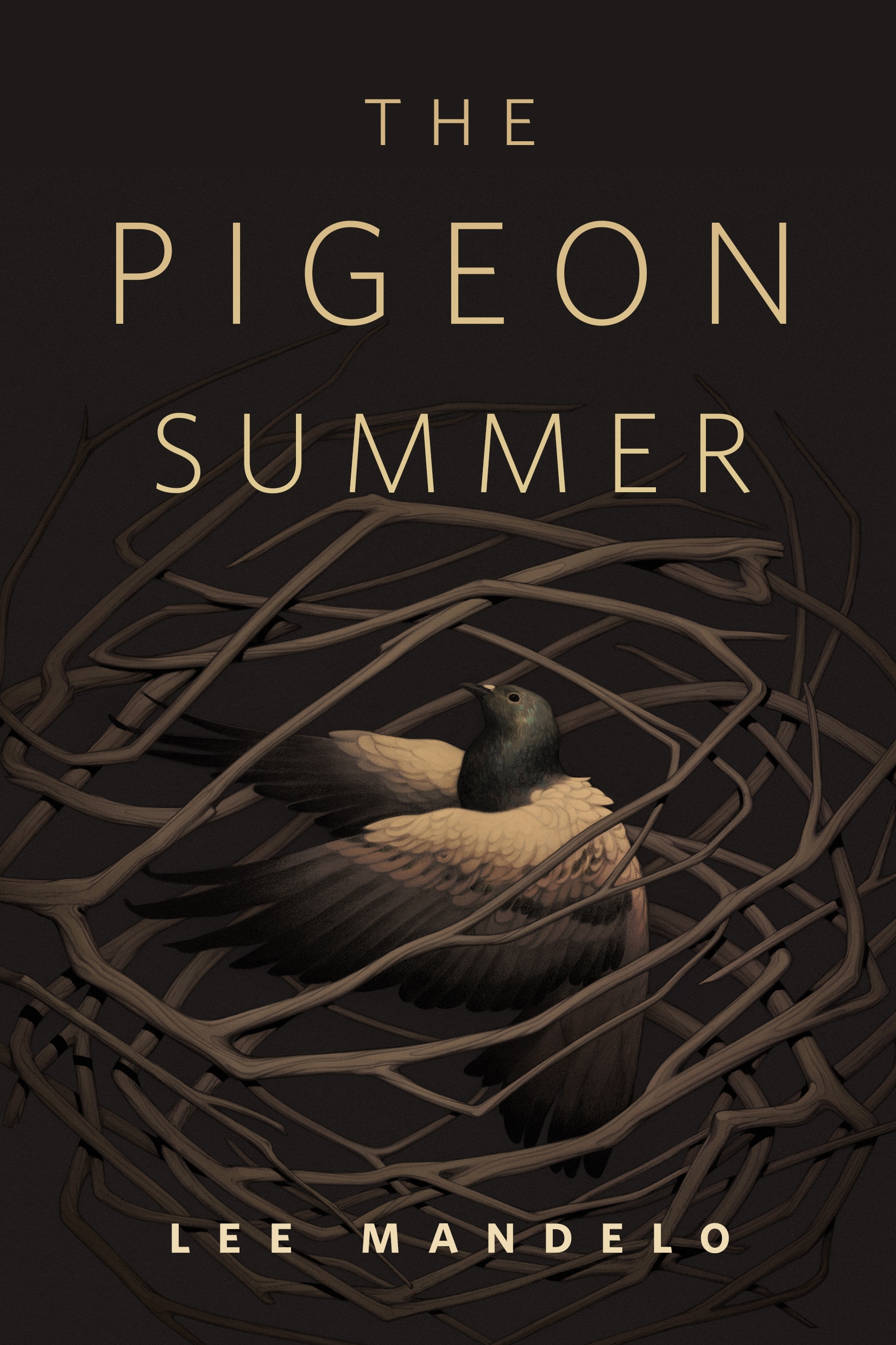 The Pigeon Summer : A Tor.Com Original by Lee Mandelo