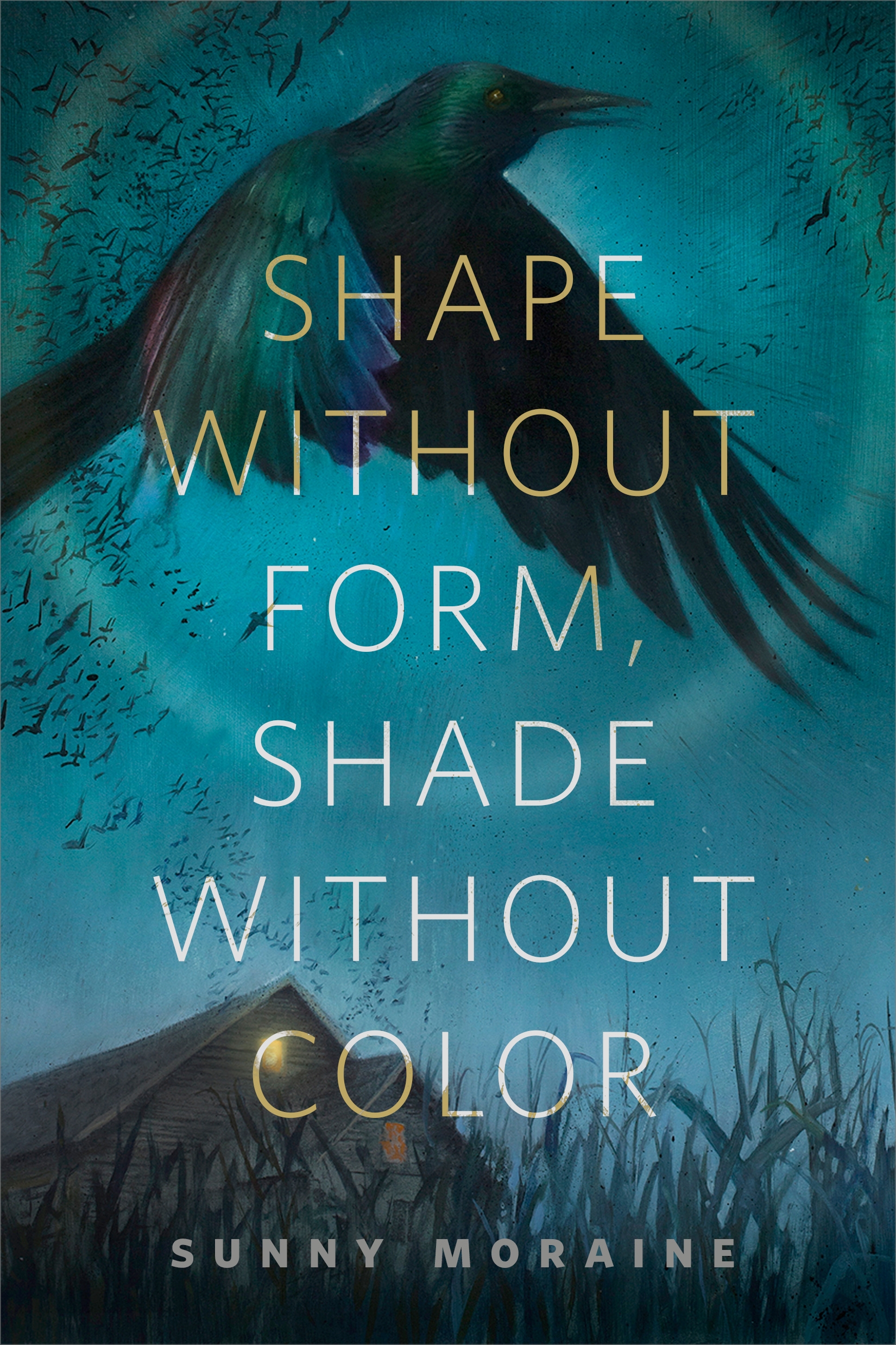 Shape Without Form, Shade Without Color : A Tor.com Original by Sunny Moraine