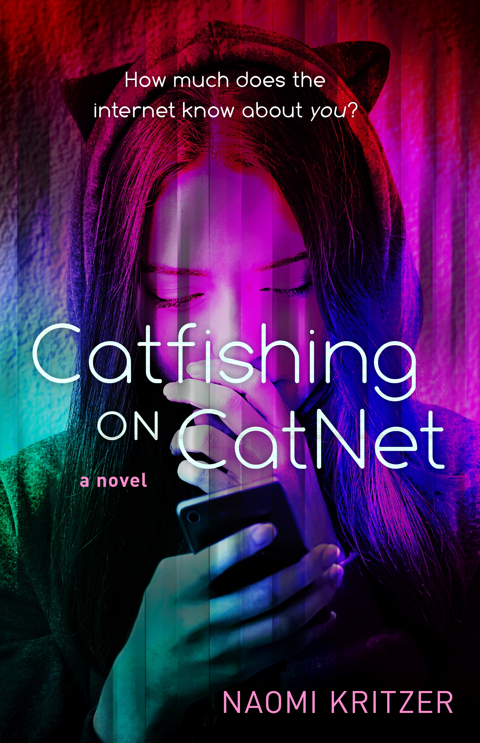 Catfishing on CatNet : A Novel by Naomi Kritzer
