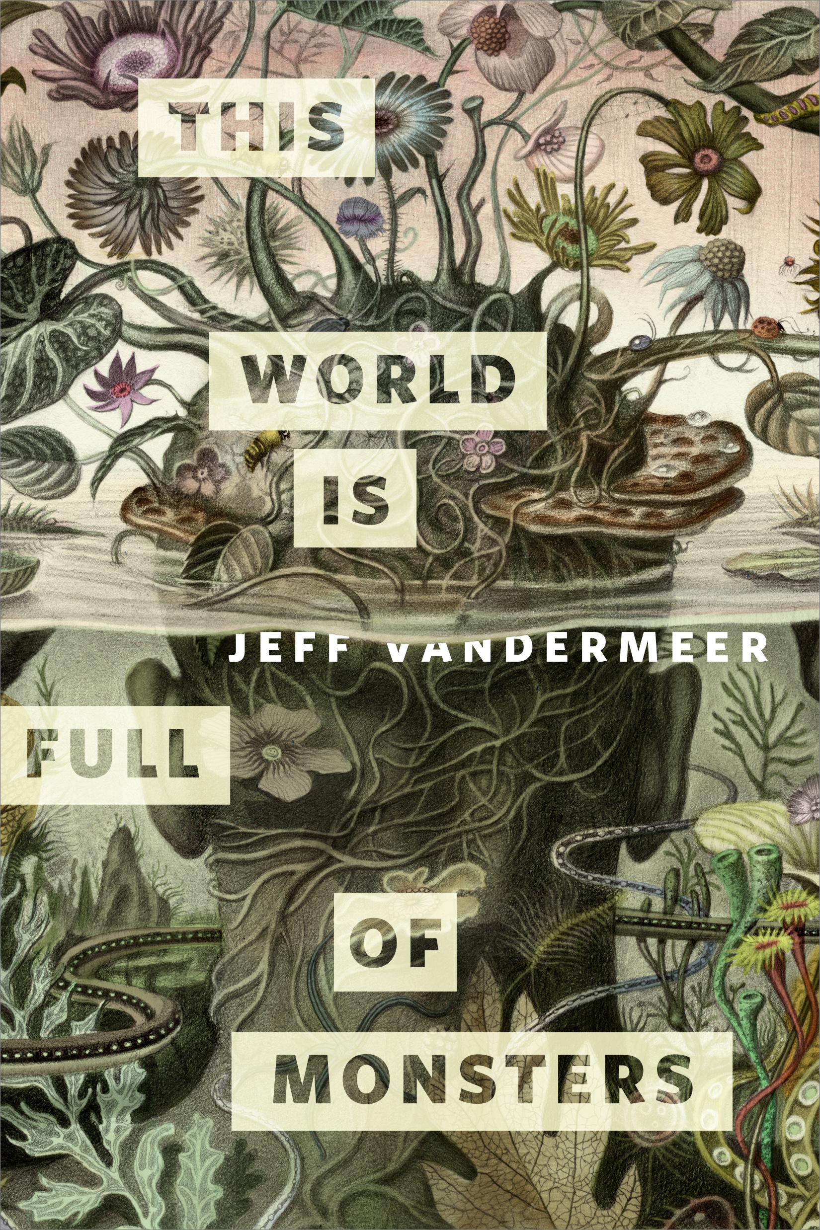 This World Is Full of Monsters : A Tor.com Original by Jeff VanderMeer