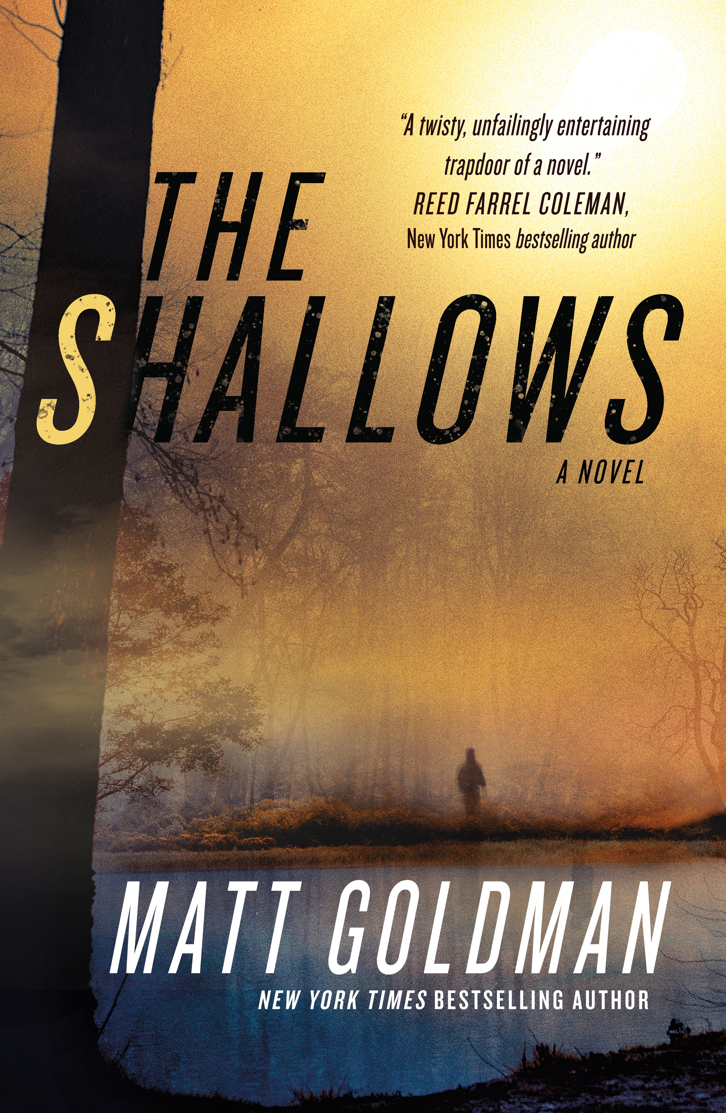 The Shallows : A Nils Shapiro Novel by Matt Goldman