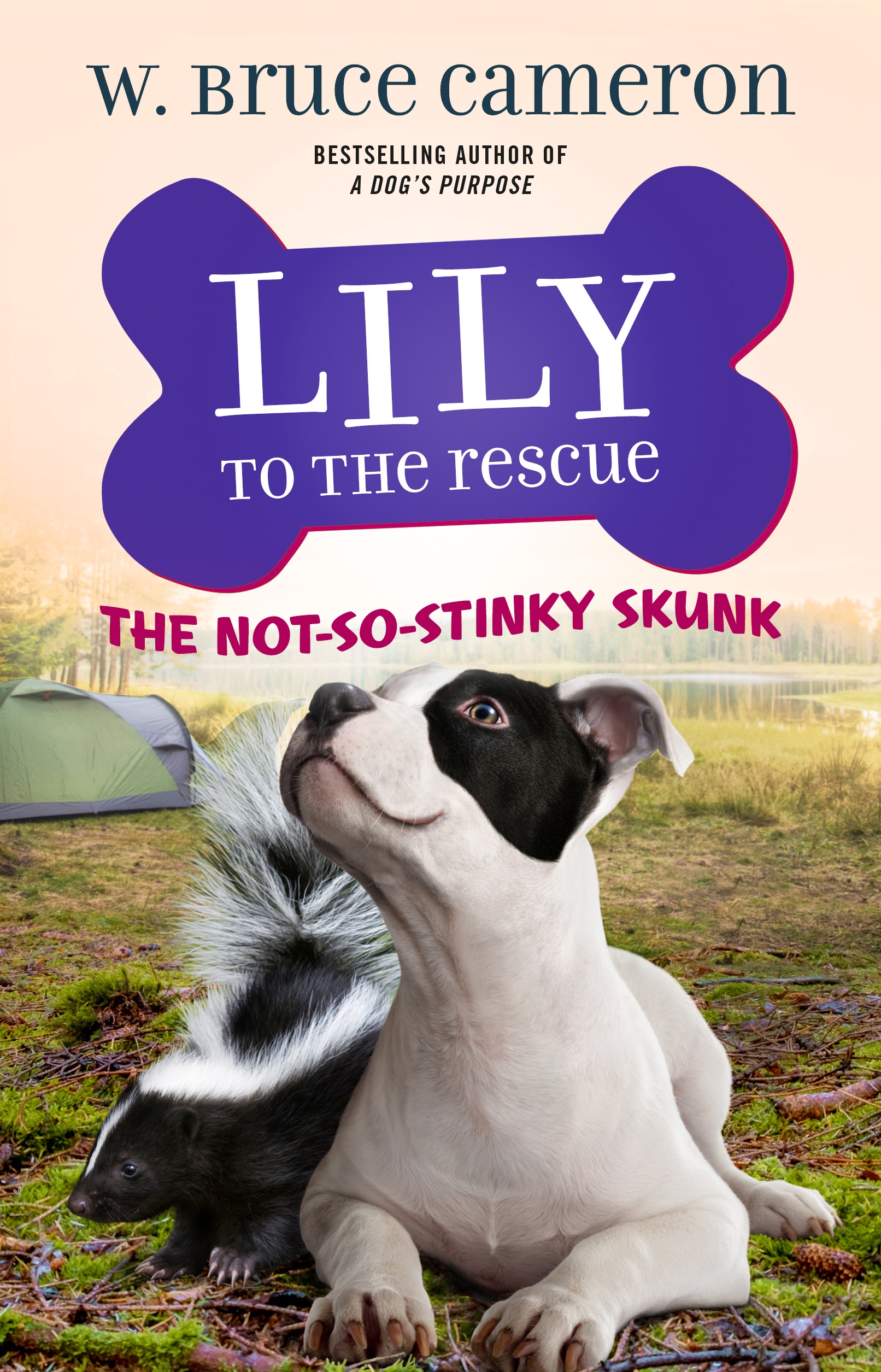 Lily to the Rescue: The Not-So-Stinky Skunk by W. Bruce Cameron, Jennifer L. Meyer