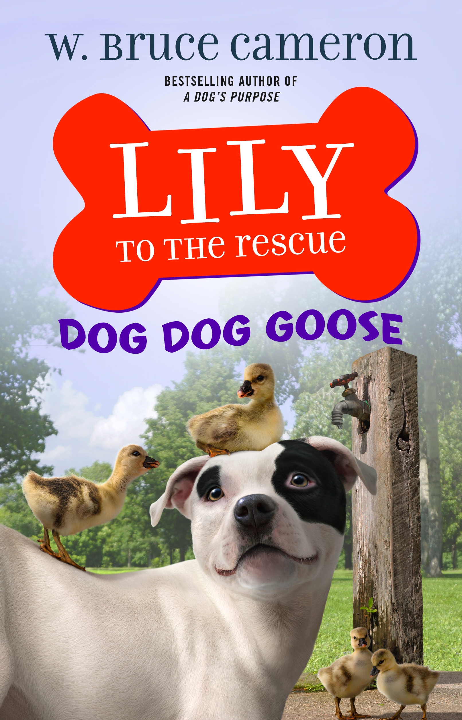 Lily to the Rescue: Dog Dog Goose by W. Bruce Cameron, Jennifer L. Meyer