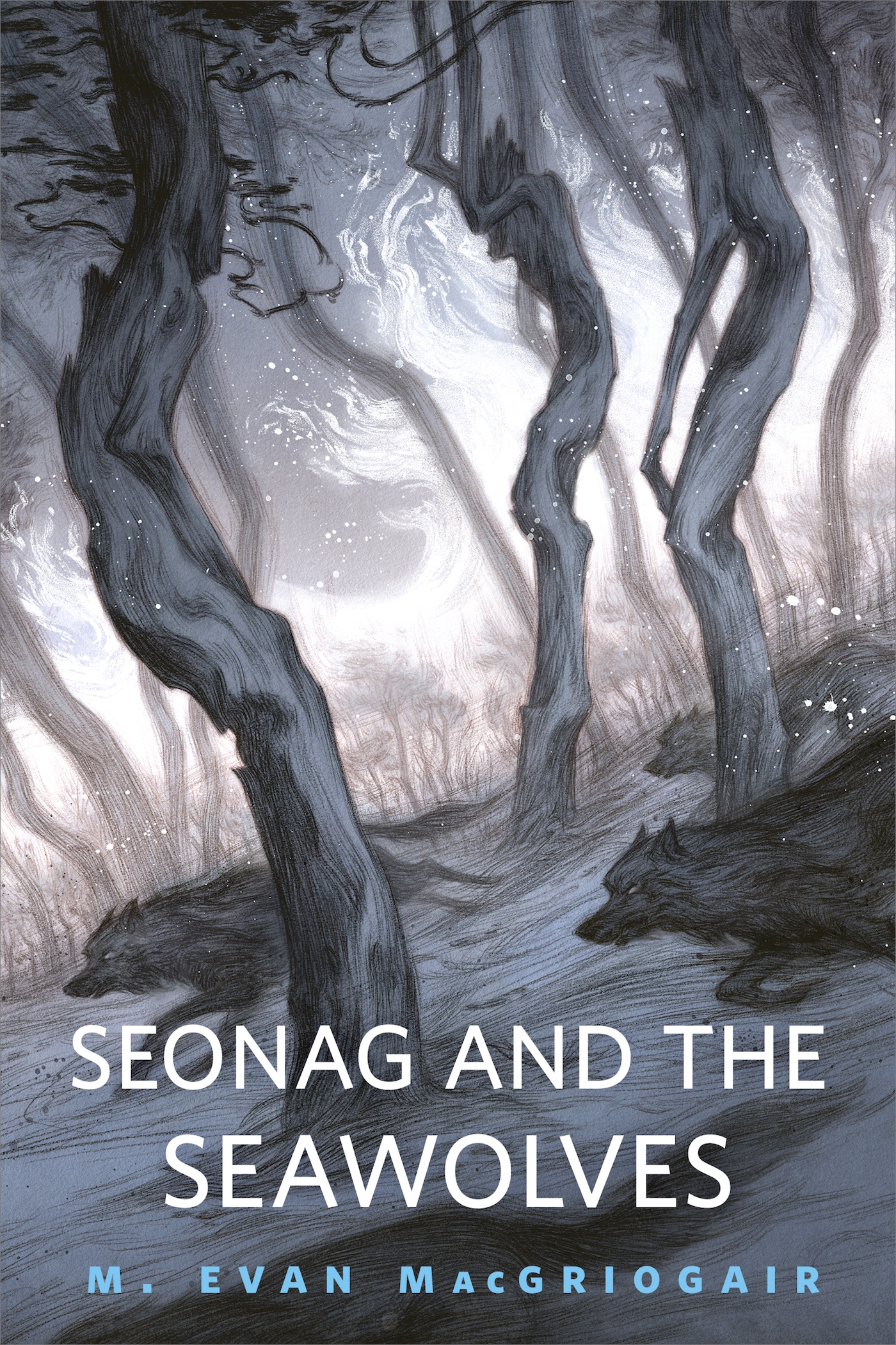 Seonag and the Seawolves : A Tor.com Original by M. Evan MacGriogair
