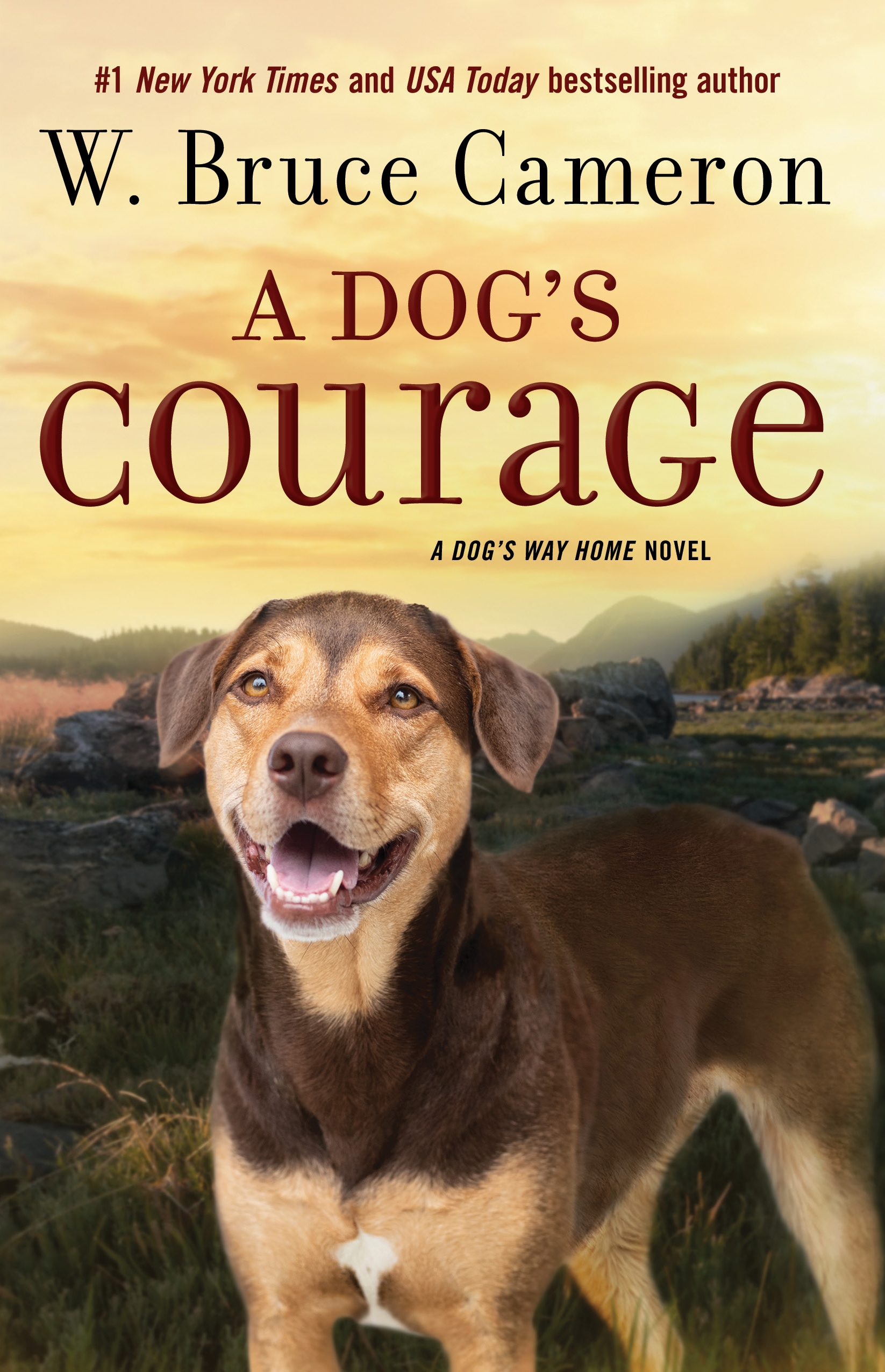 A Dog's Courage : A Dog's Way Home Novel by W. Bruce Cameron