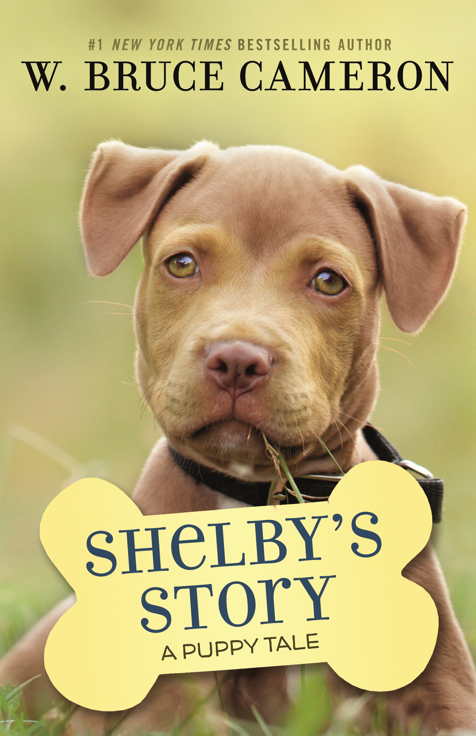 Shelby's Story : A Puppy Tale by W. Bruce Cameron
