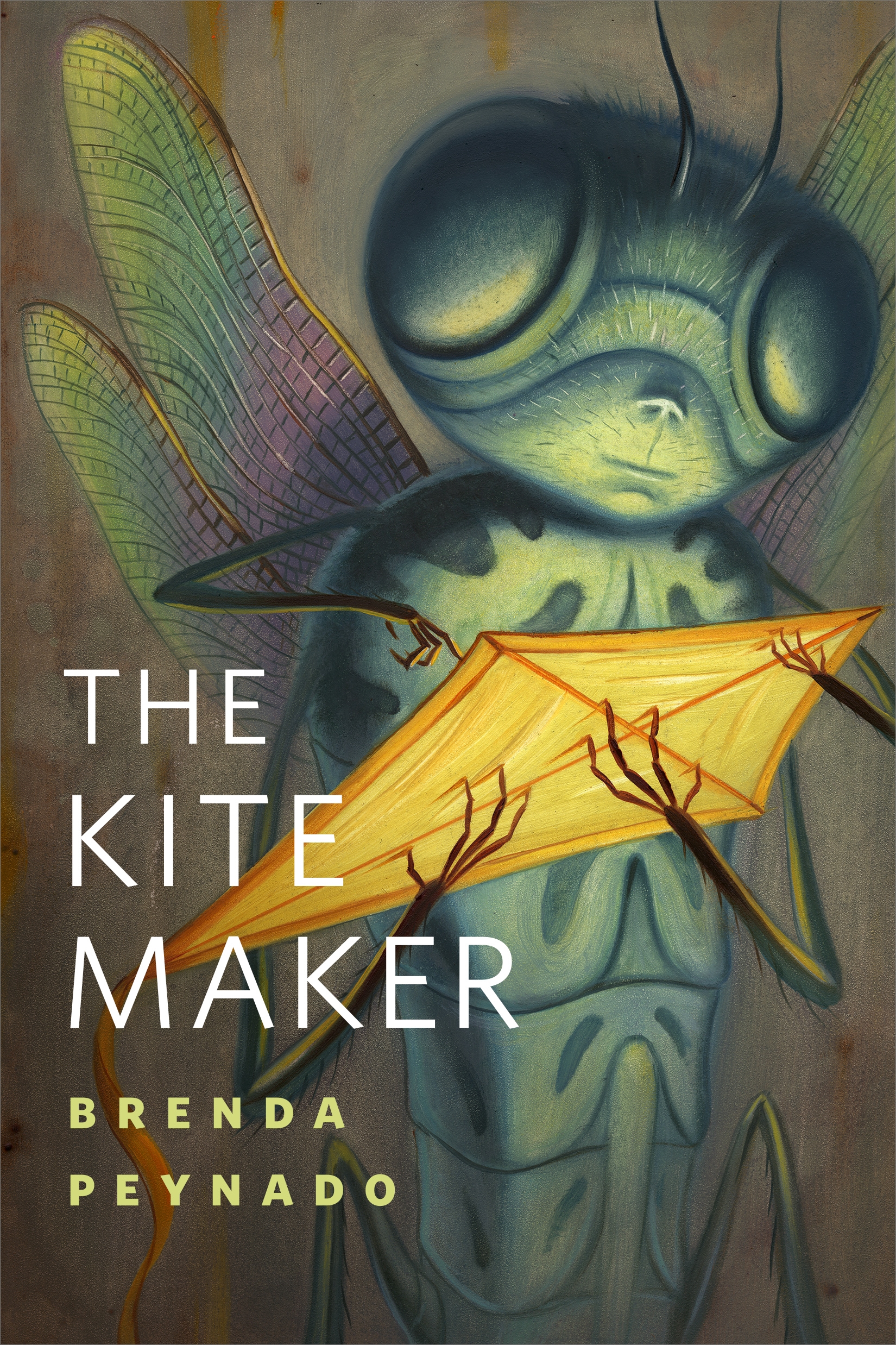 The Kite Maker : A Tor.com Original by Brenda Peynado