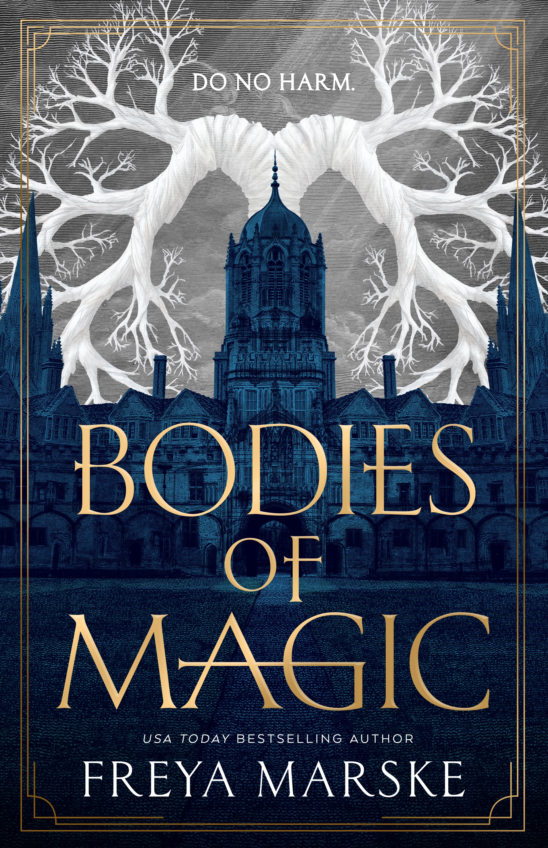 Bodies of Magic by Freya Marske