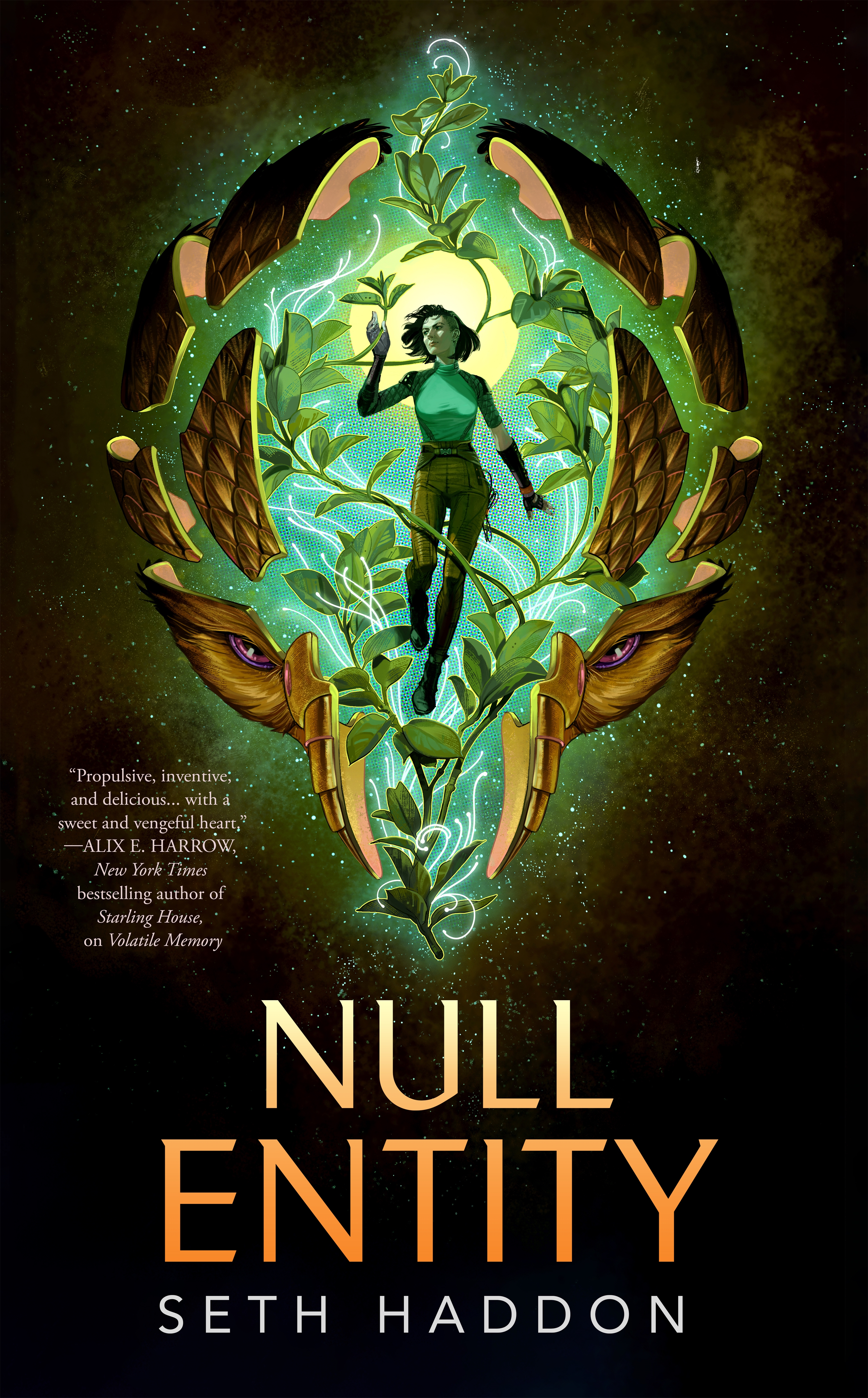 Null Entity by Seth Haddon