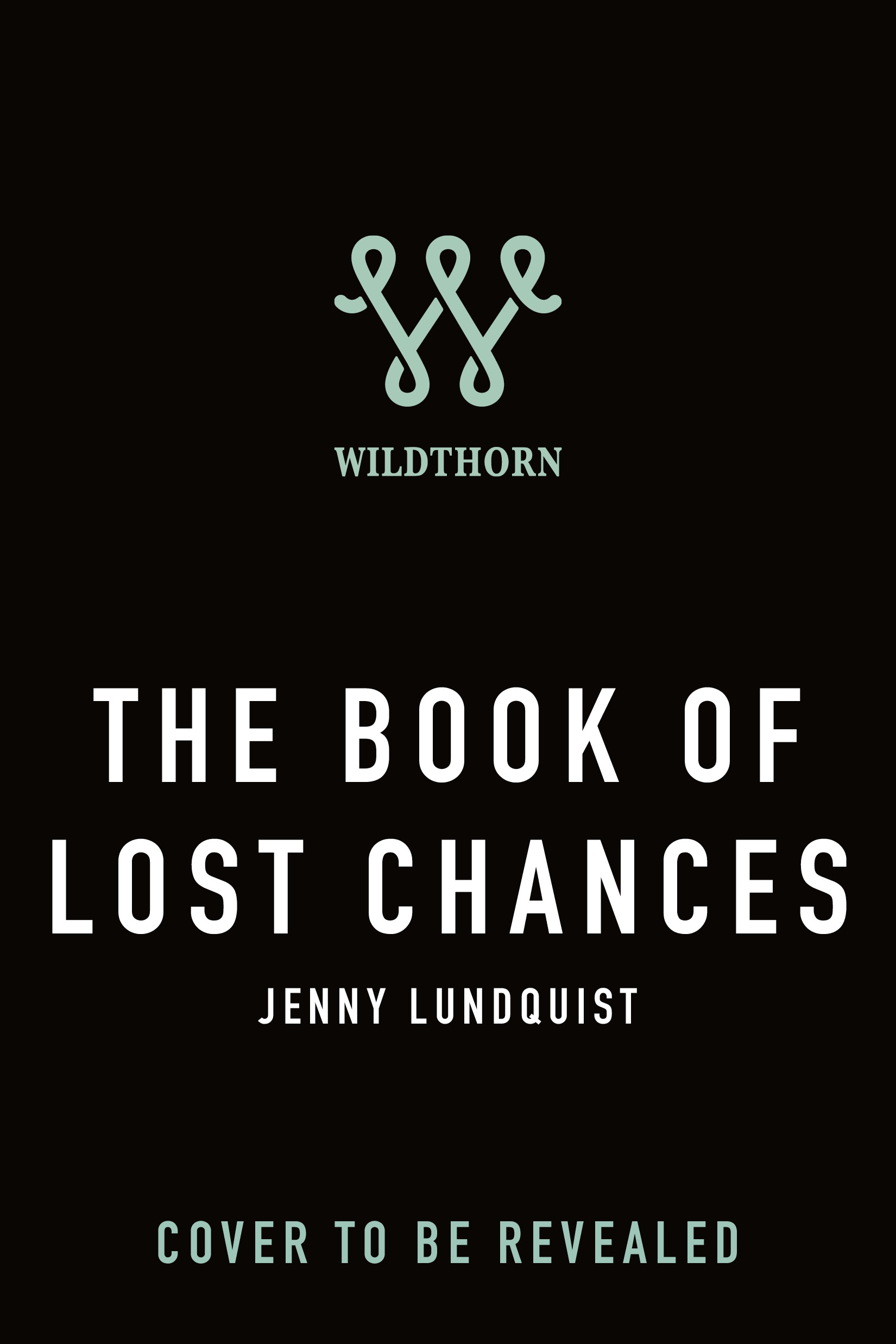 The Book of Lost Chances by Jenny Lundquist