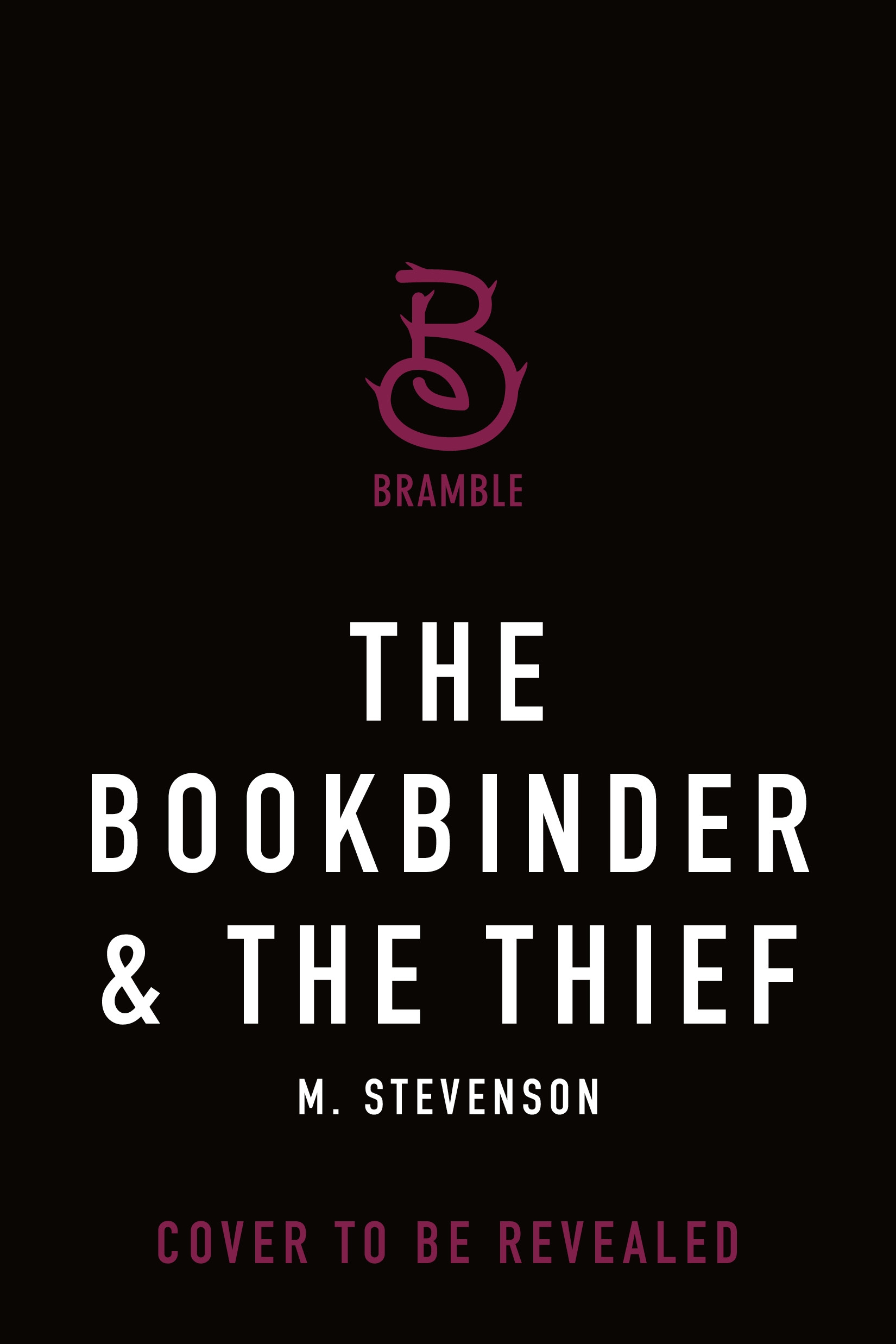 The Bookbinder & the Thief by M. Stevenson