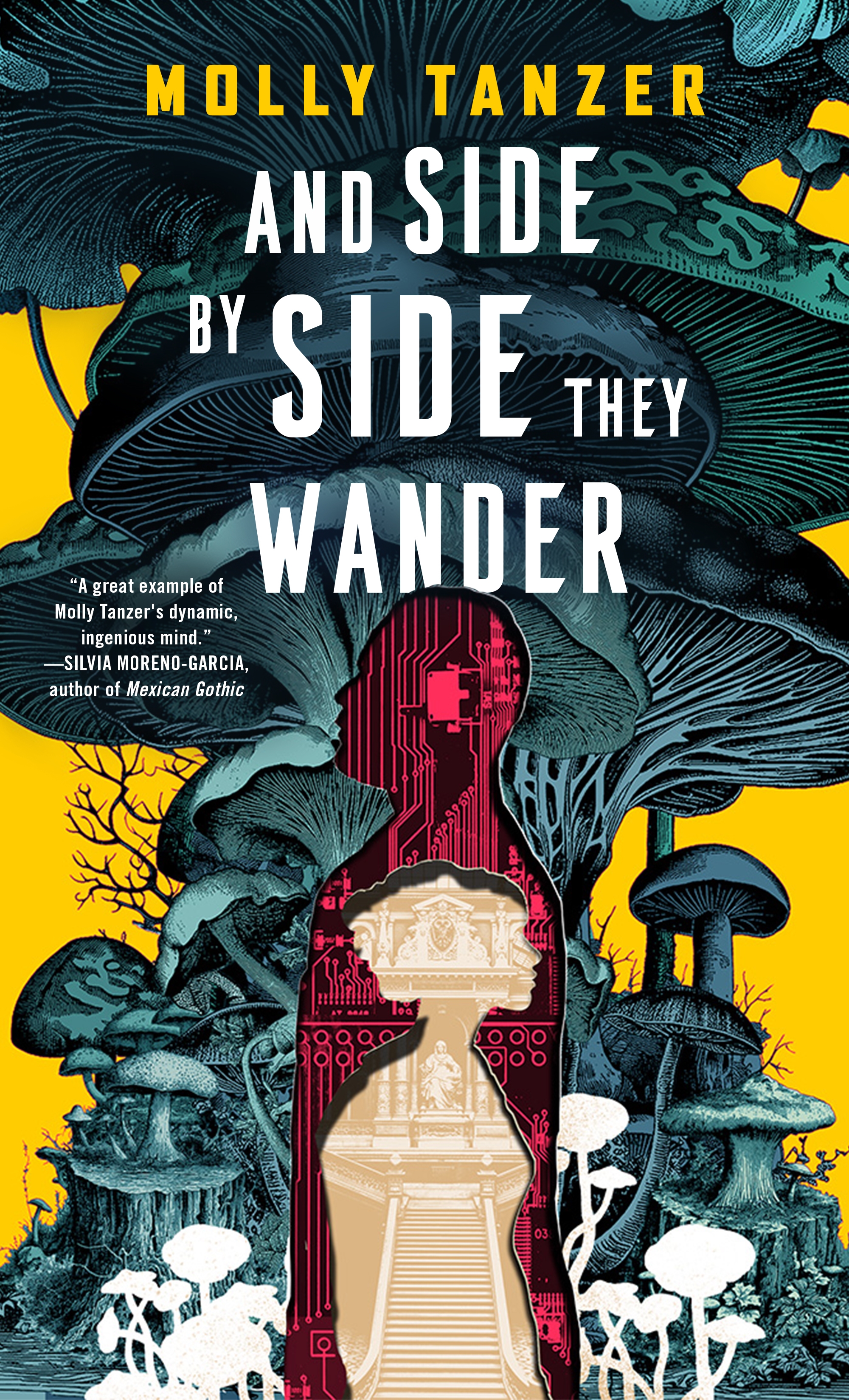 And Side by Side They Wander by Molly Tanzer