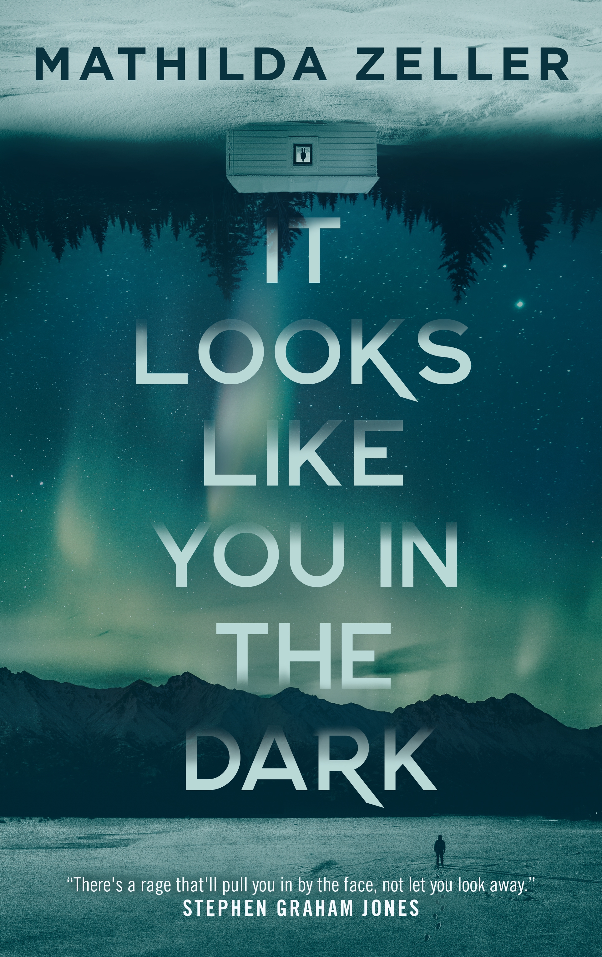 It Looks Like You in the Dark by Mathilda Zeller