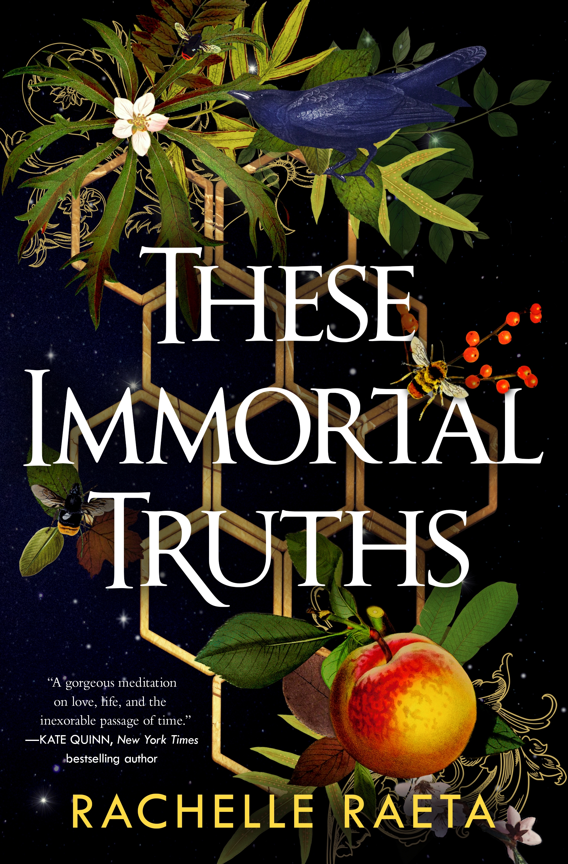 These Immortal Truths by Rachelle Raeta