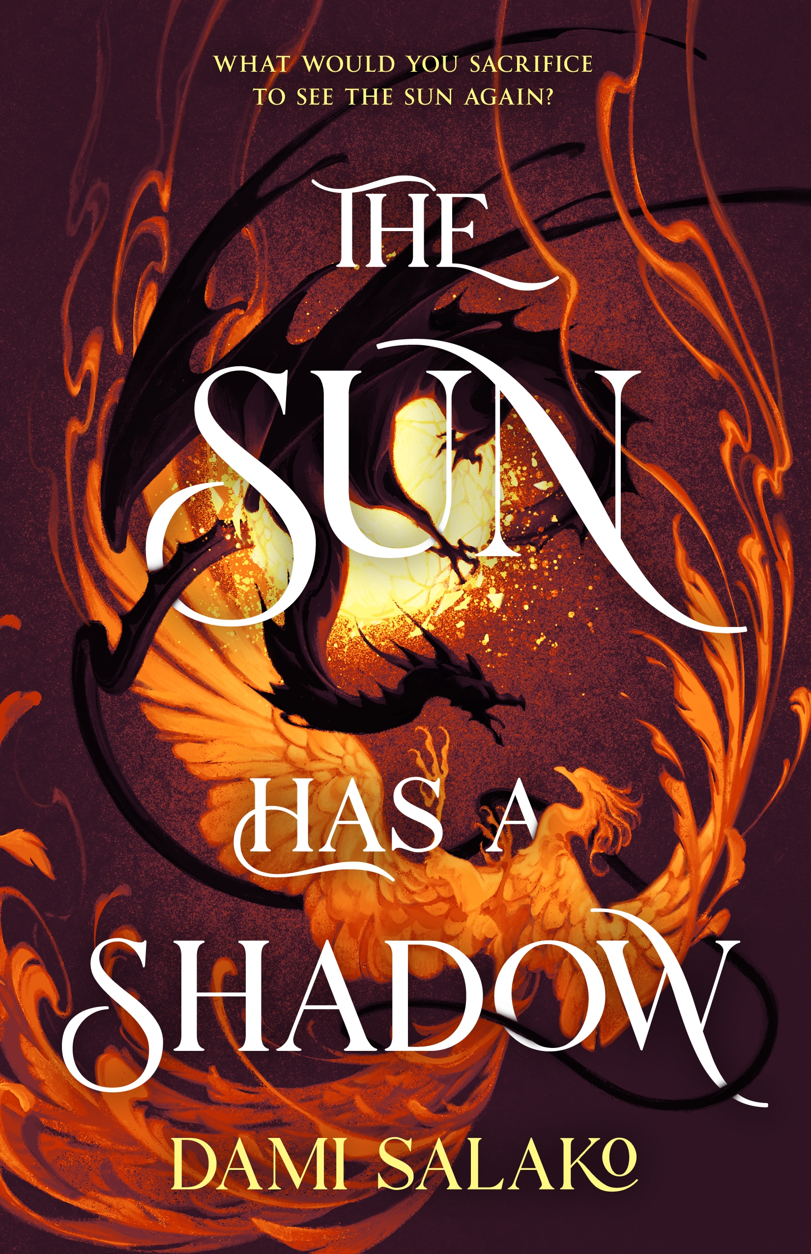The Sun Has a Shadow by Dami Salako