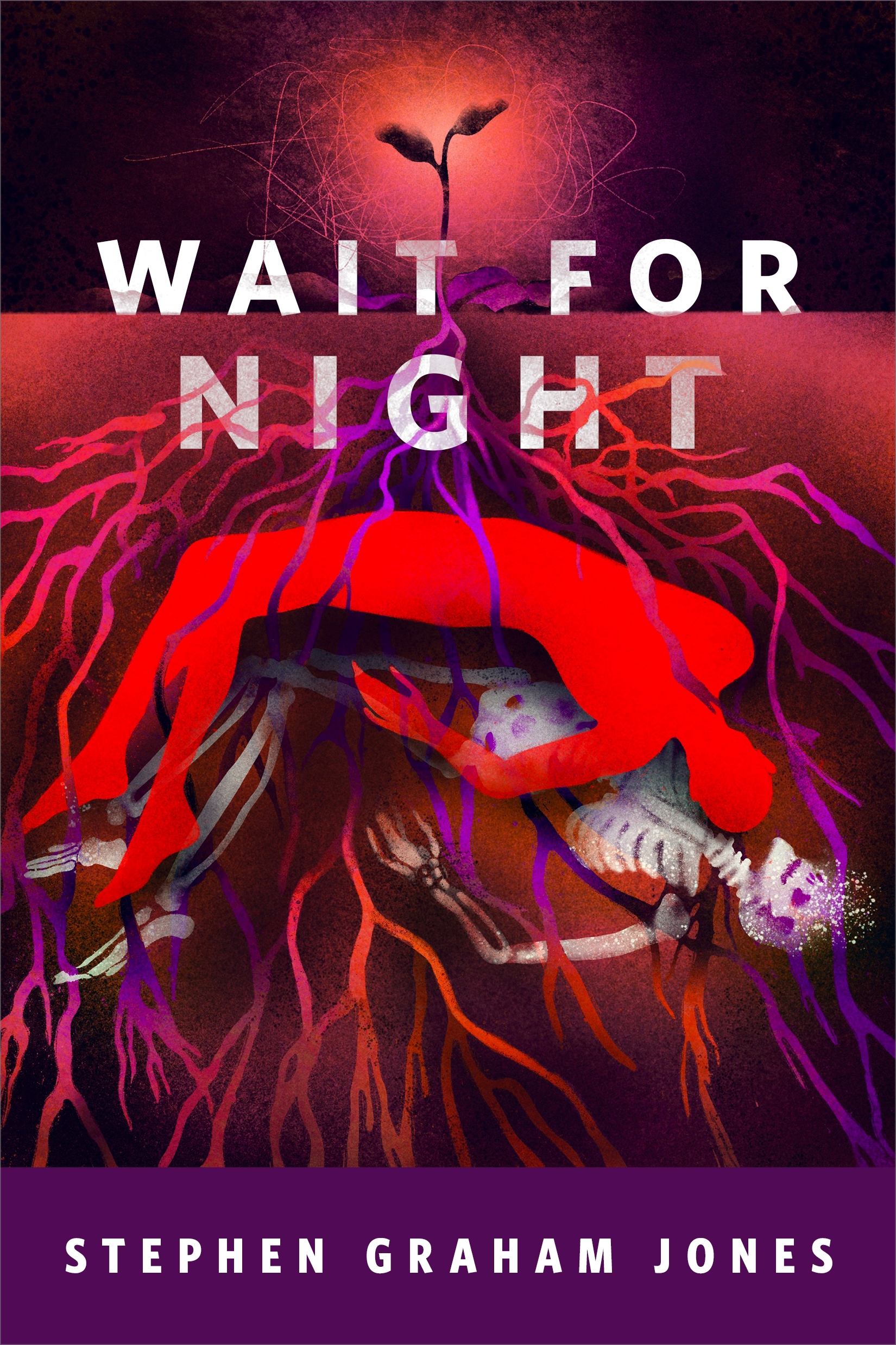 Wait for Night : A Tor.com Original by Stephen Graham Jones