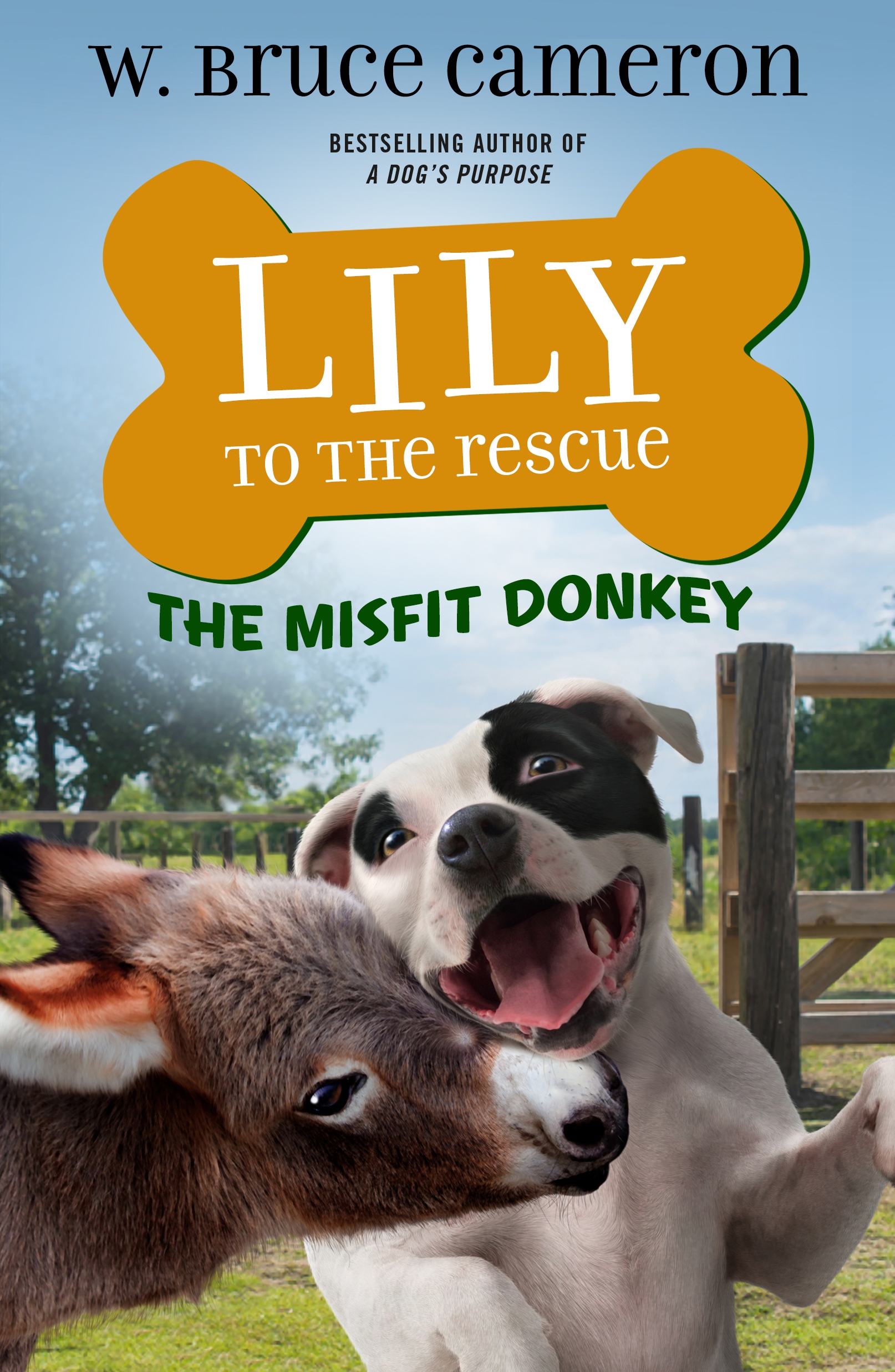 Lily to the Rescue: The Misfit Donkey by W. Bruce Cameron, James Bernardin