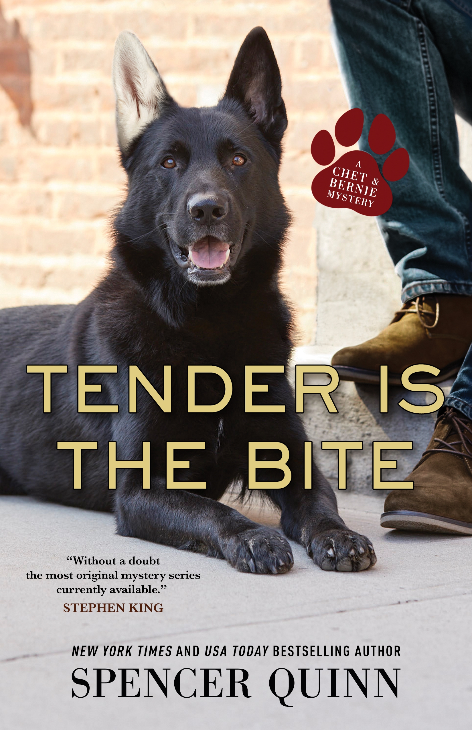 Tender Is the Bite : A Chet & Bernie Mystery by Spencer Quinn