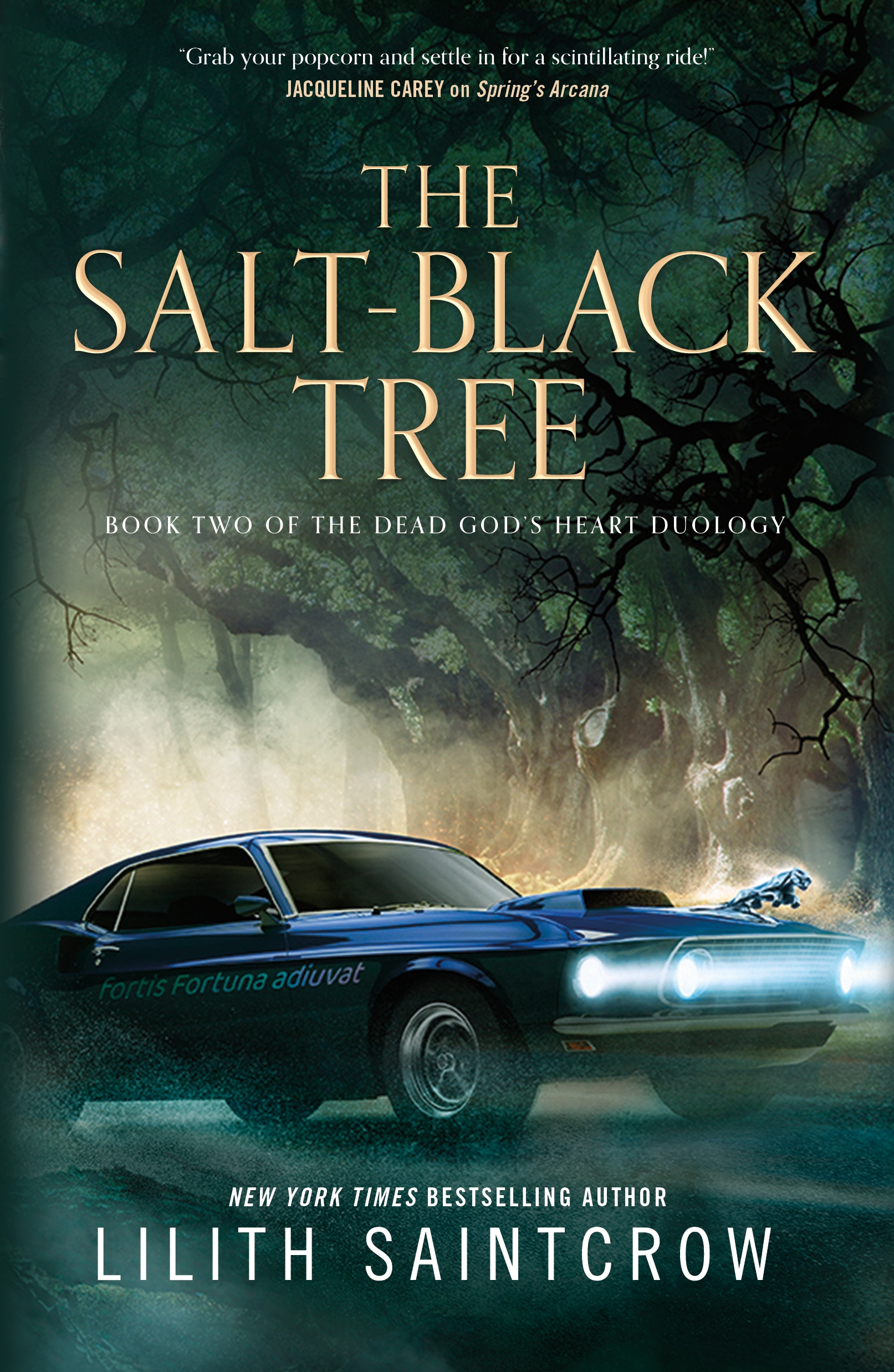 The Salt-Black Tree : Book Two of the Dead God's Heart Duology by Lilith Saintcrow