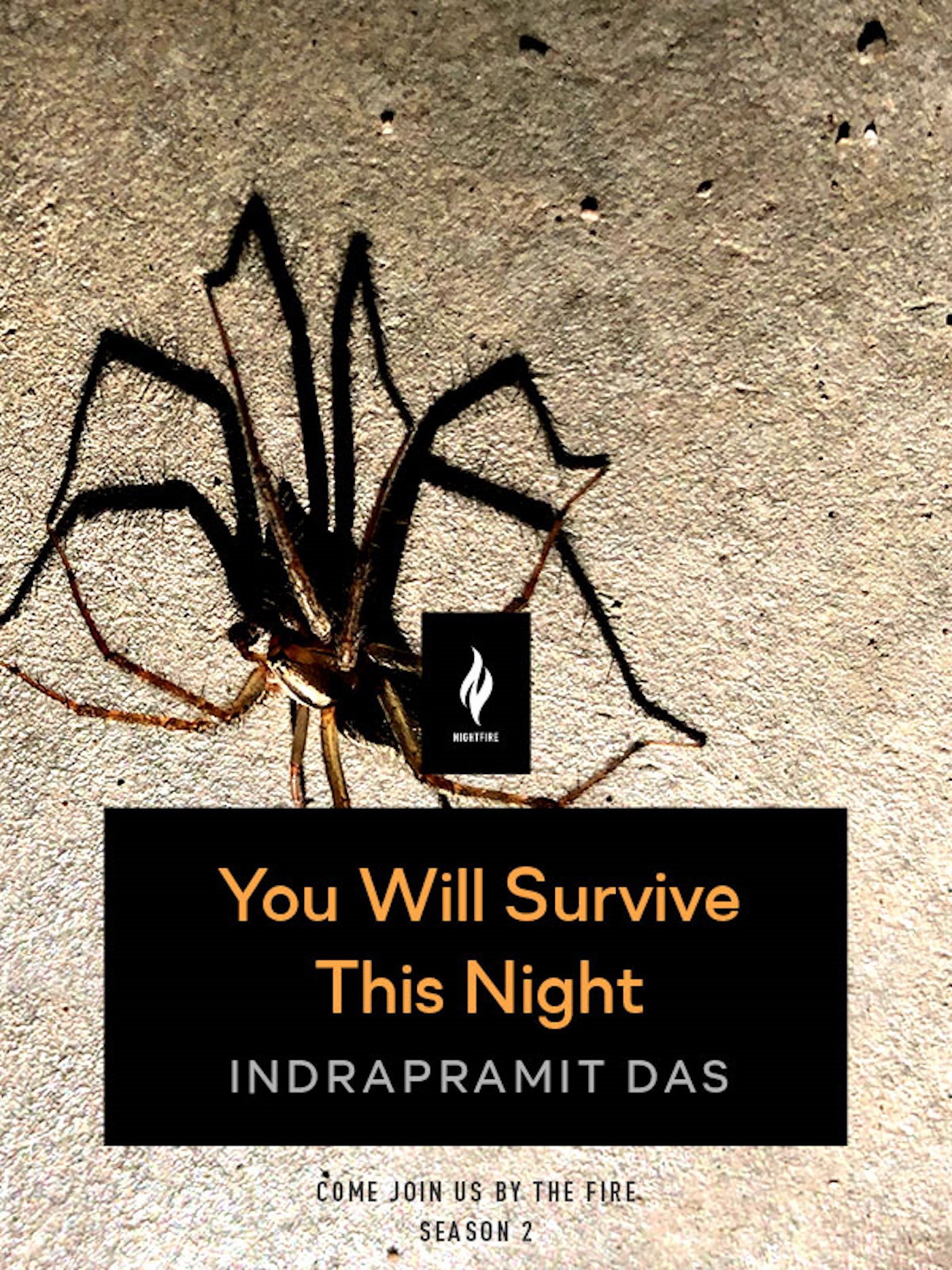 You Will Survive This Night : A Short Horror Story by Indrapramit Das