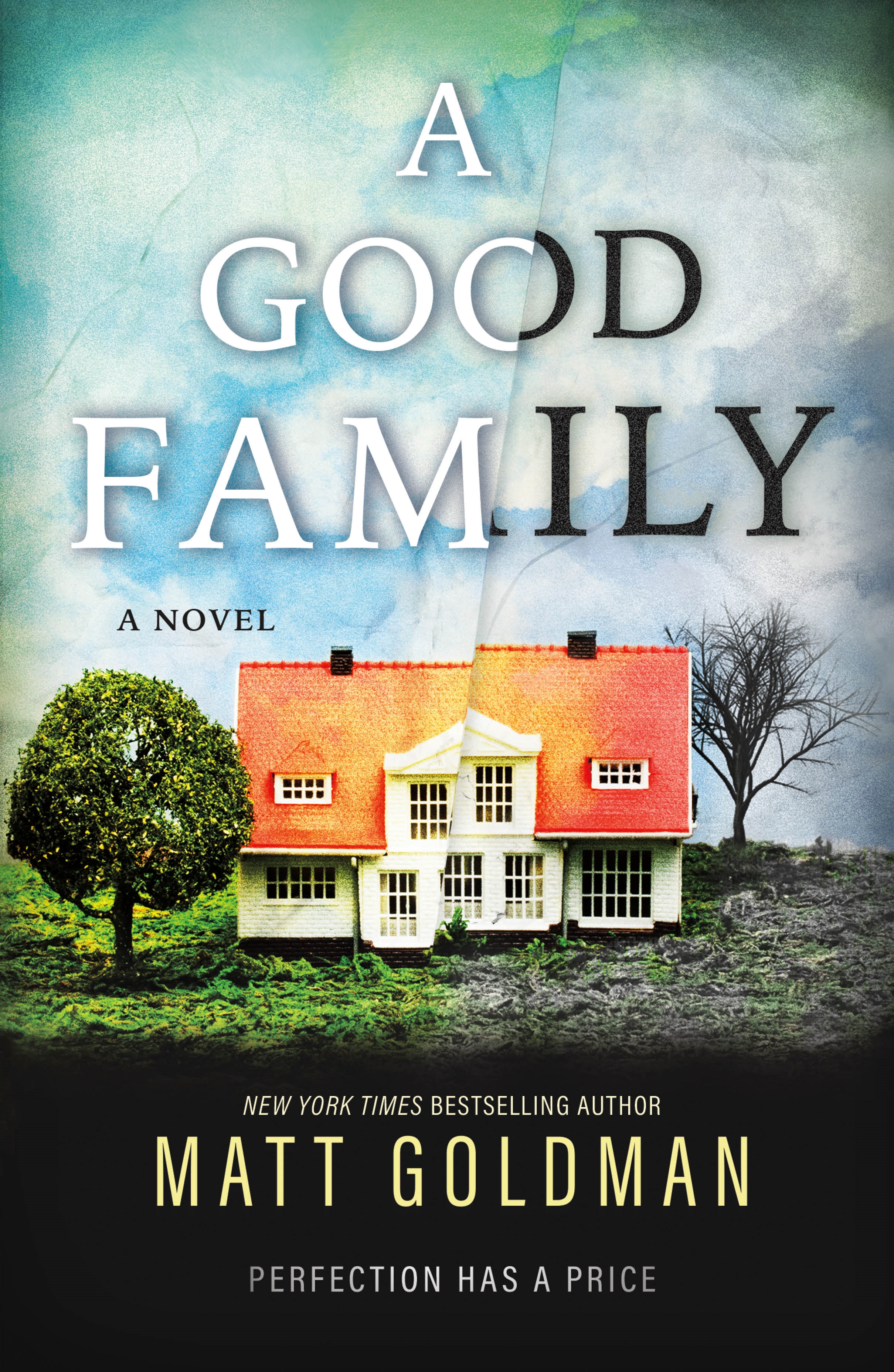 A Good Family : A Novel by Matt Goldman