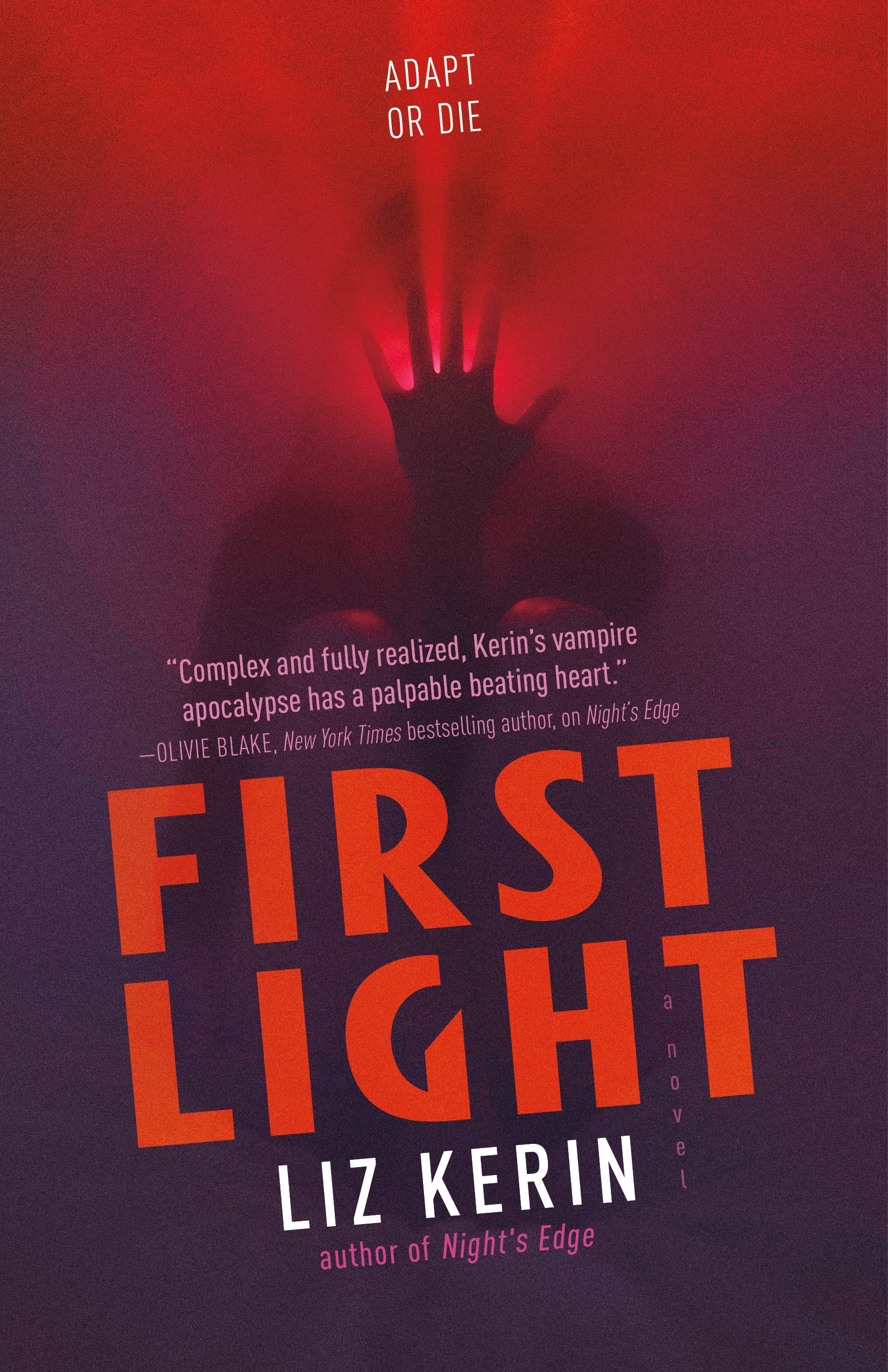 First Light : A Novel by Liz Kerin