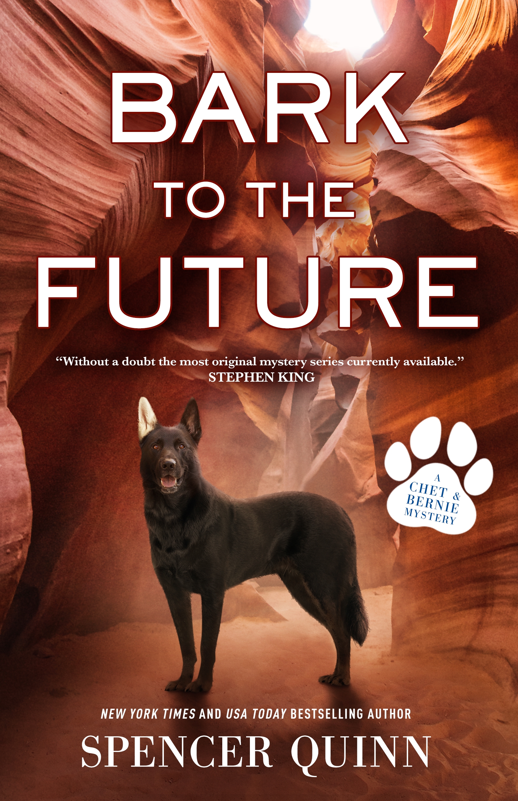 Bark to the Future : A Chet & Bernie Mystery by Spencer Quinn