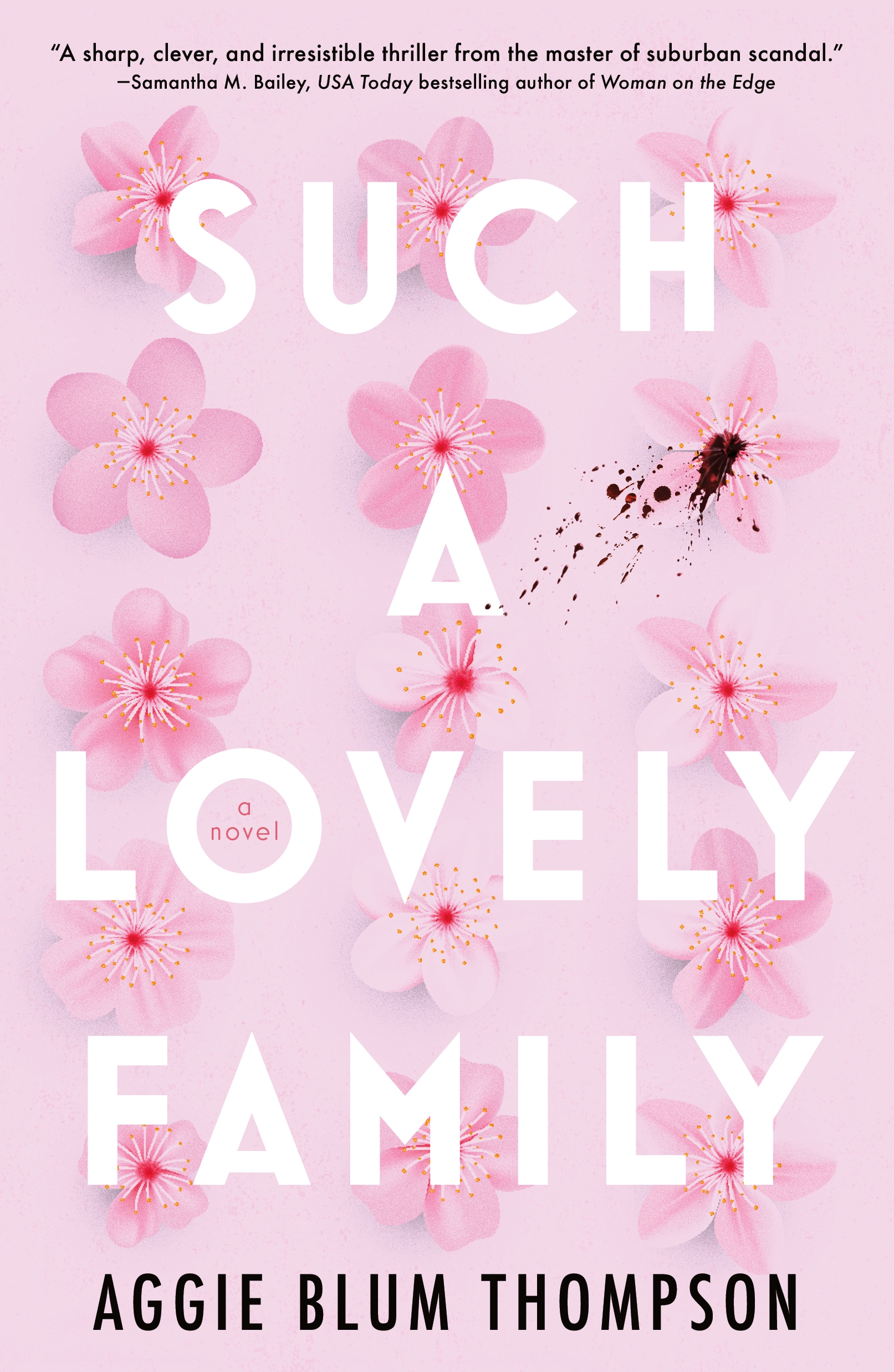 Such a Lovely Family by Aggie Blum Thompson