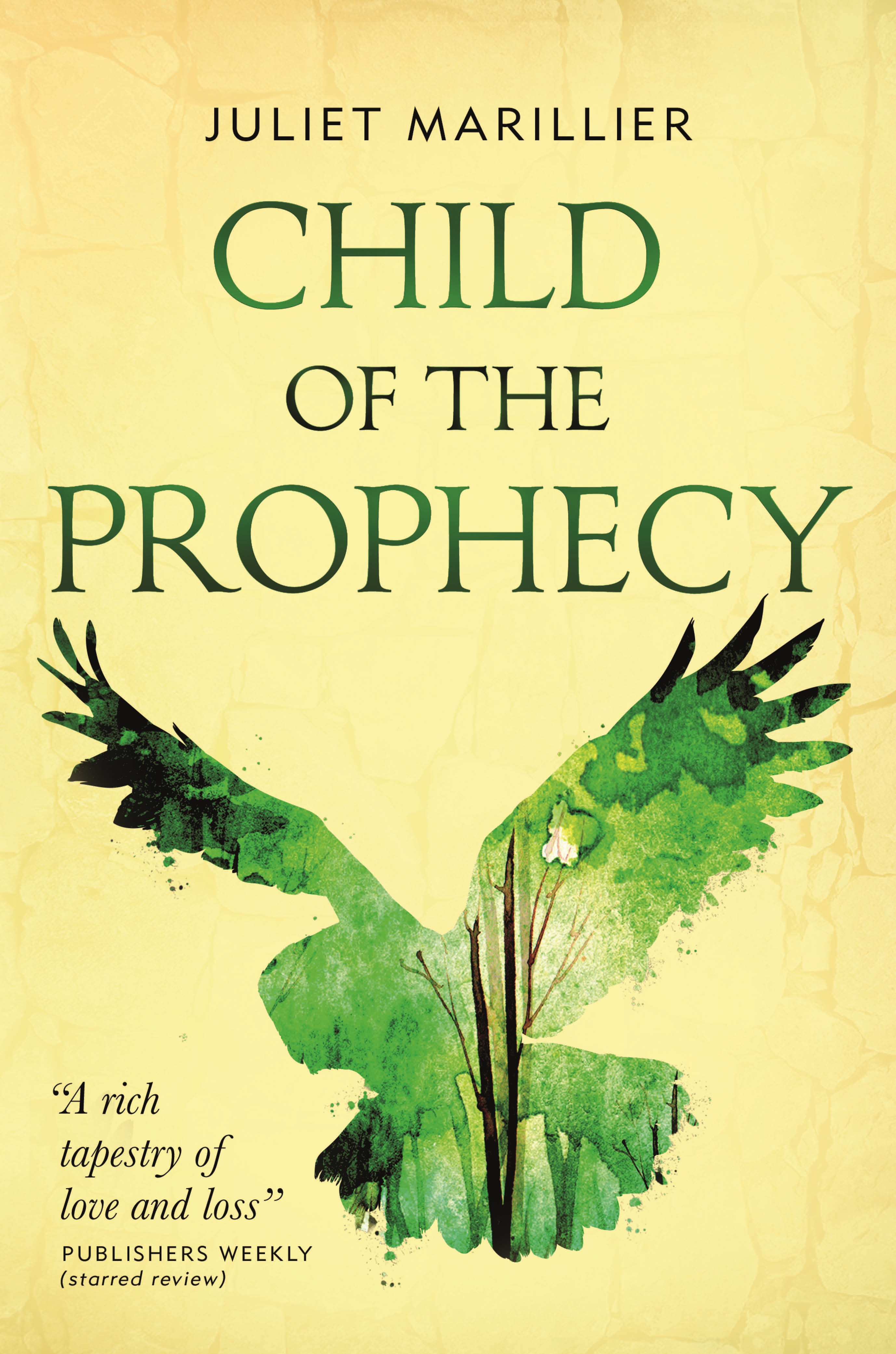 Child of the Prophecy : Book Three of the Sevenwaters Trilogy by Juliet Marillier