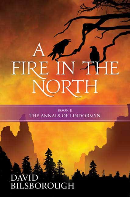A Fire in the North : Book 2 of the Annals of Lindormyn by David Bilsborough