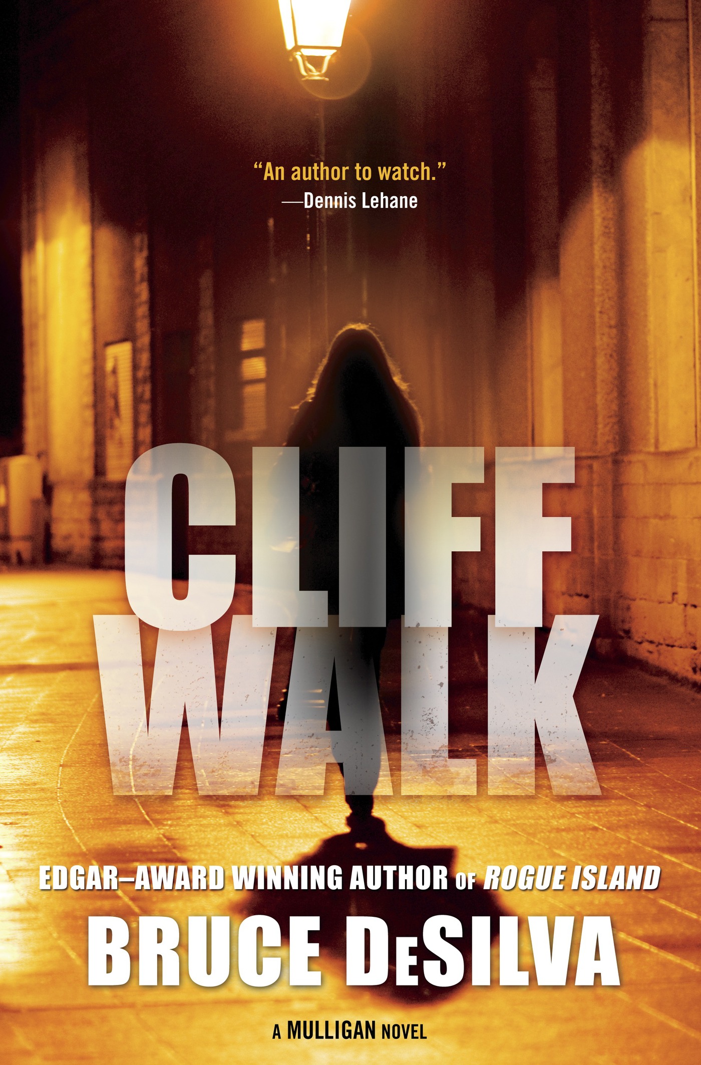 Cliff Walk : A Liam Mulligan Novel by Bruce DeSilva