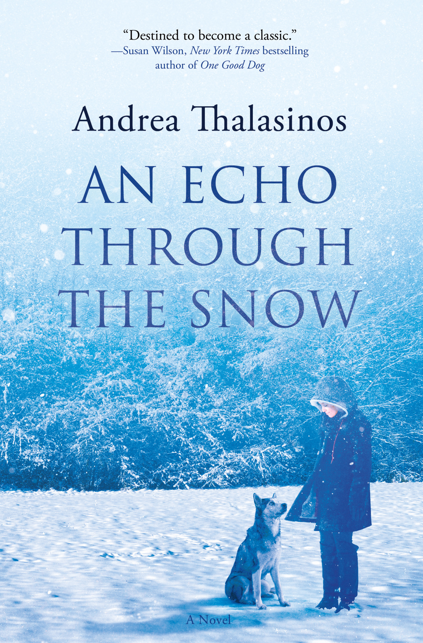 An Echo Through the Snow : A Novel by Andrea Thalasinos