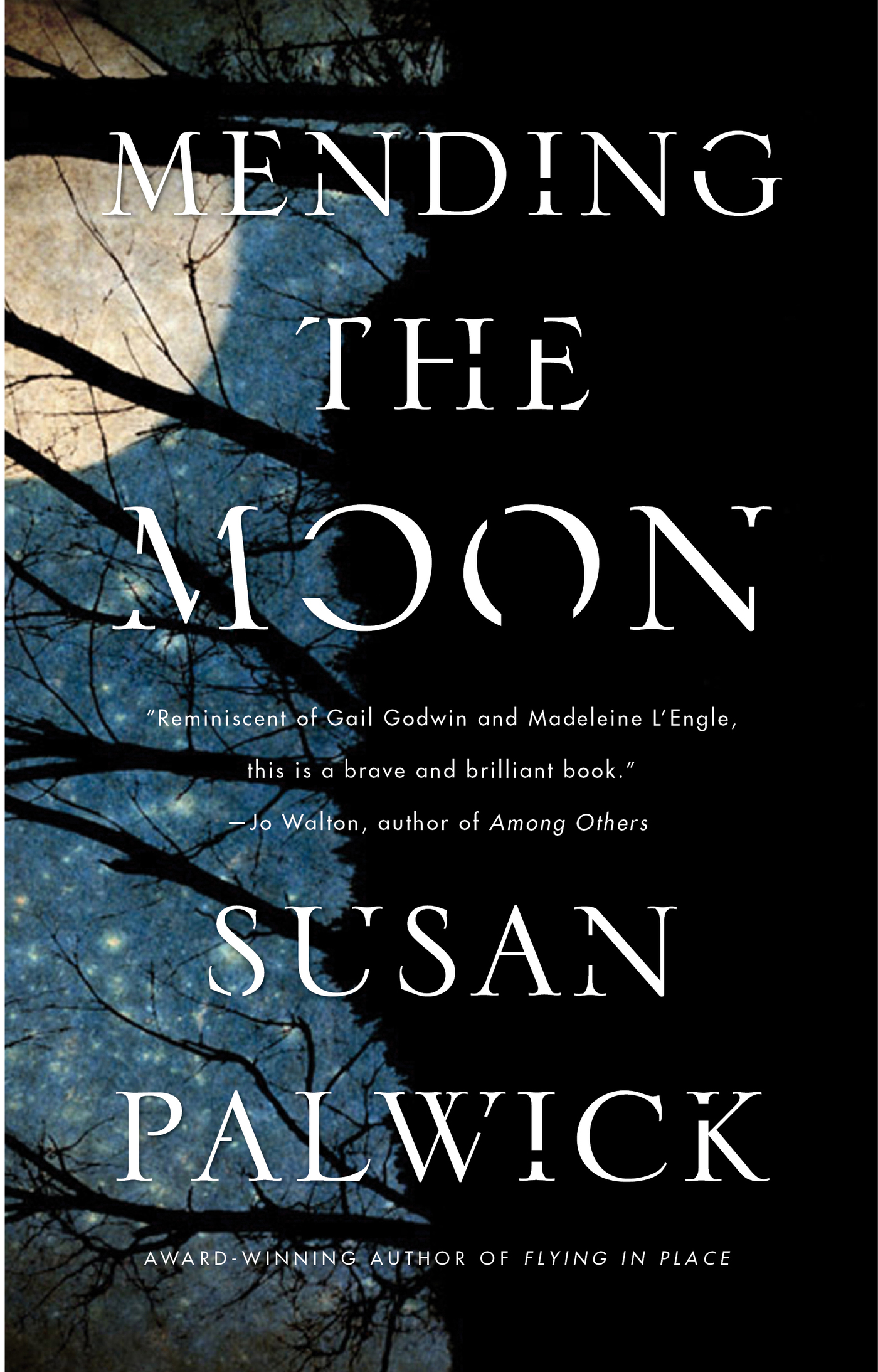 Mending the Moon by Susan Palwick