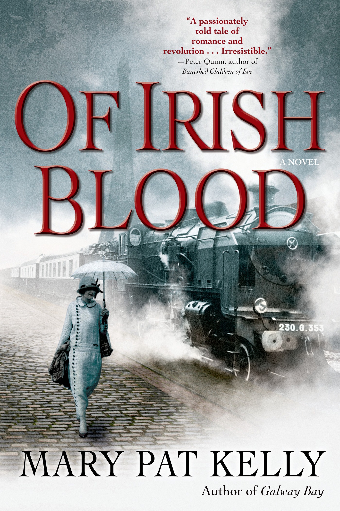 Of Irish Blood : A Novel by Mary Pat Kelly