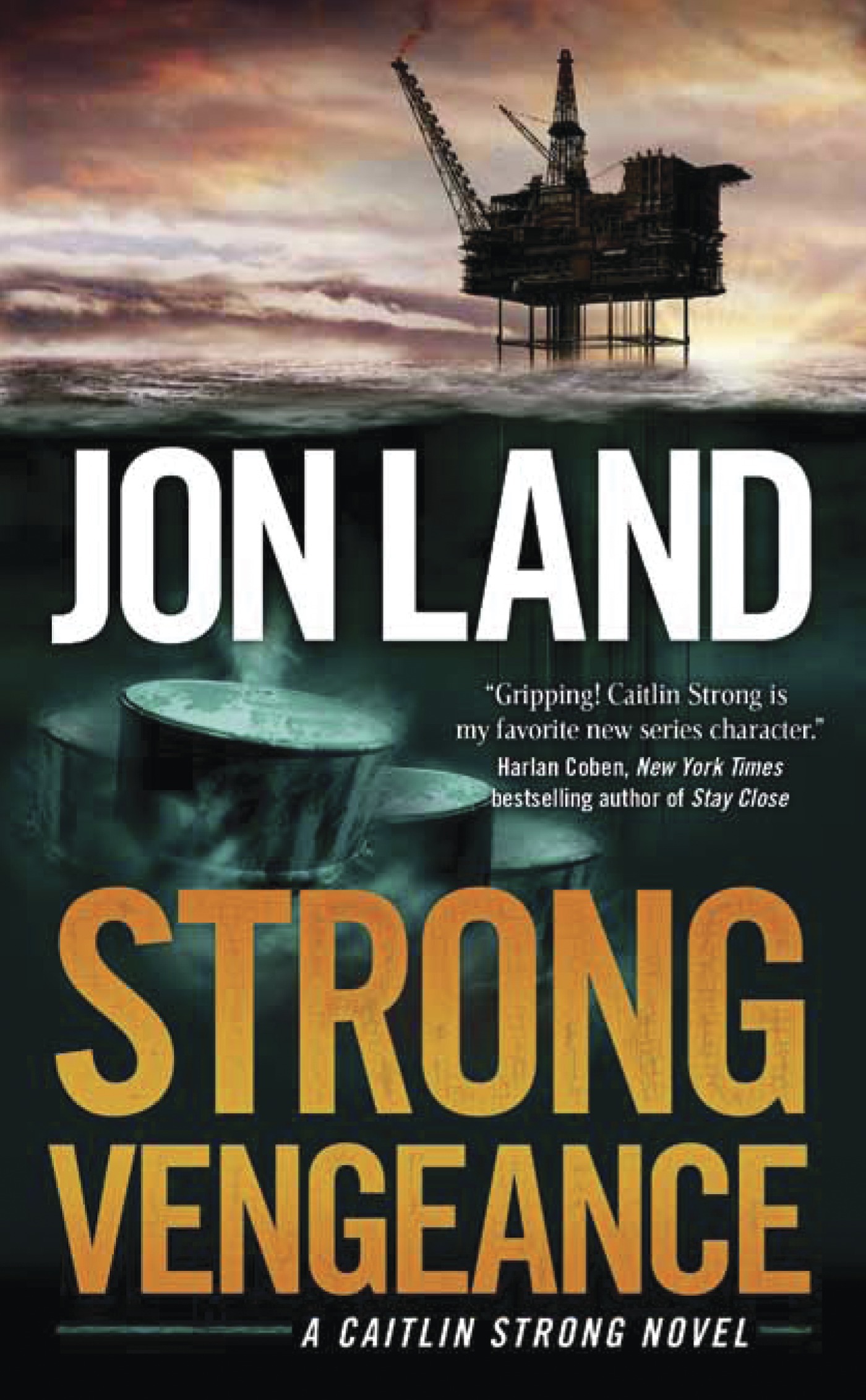 Strong Vengeance : A Caitlin Strong Novel by Jon Land