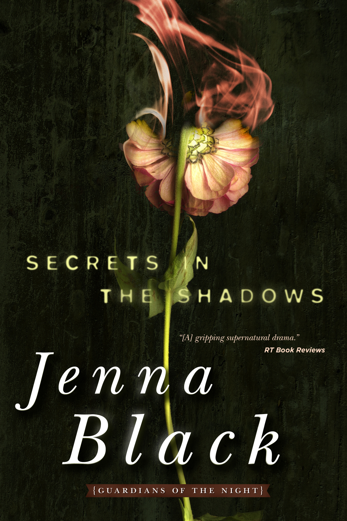 Secrets in the Shadows : Guardians of the Night by Jenna Black