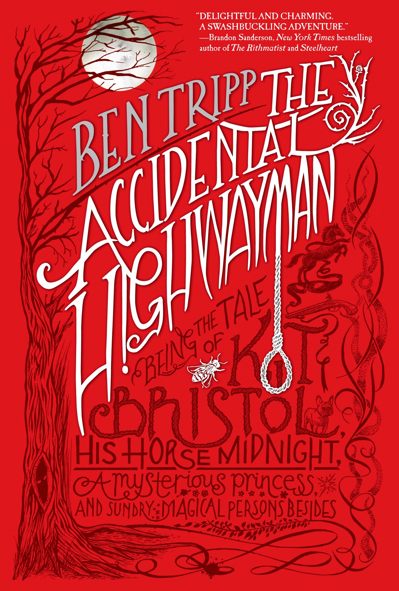 The Accidental Highwayman : Being the Tale of Kit Bristol, His Horse Midnight, a Mysterious Princess, and Sundry Magical Persons Besides by Ben Tripp