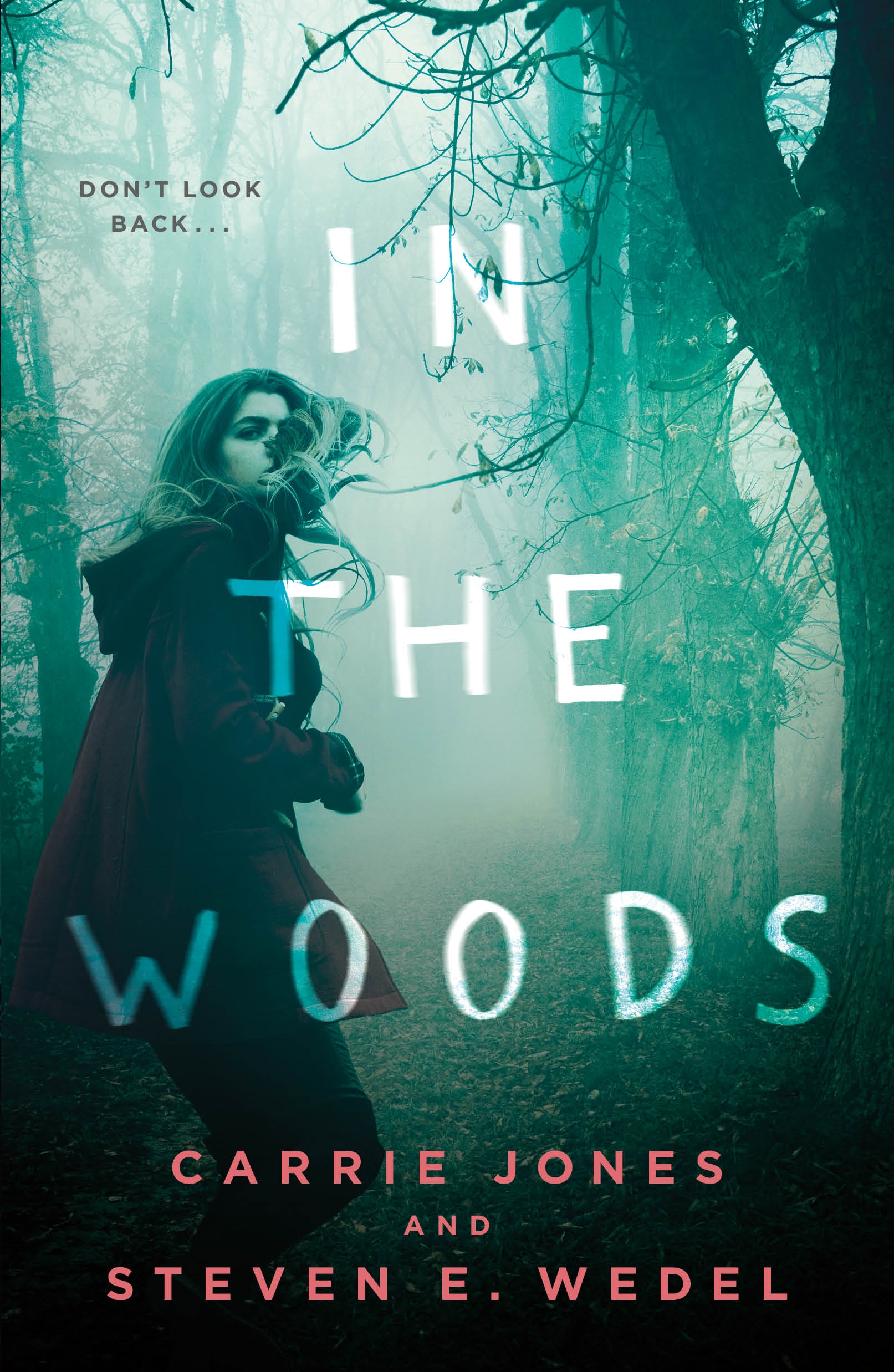In the Woods by Carrie Jones, Steven E. Wedel