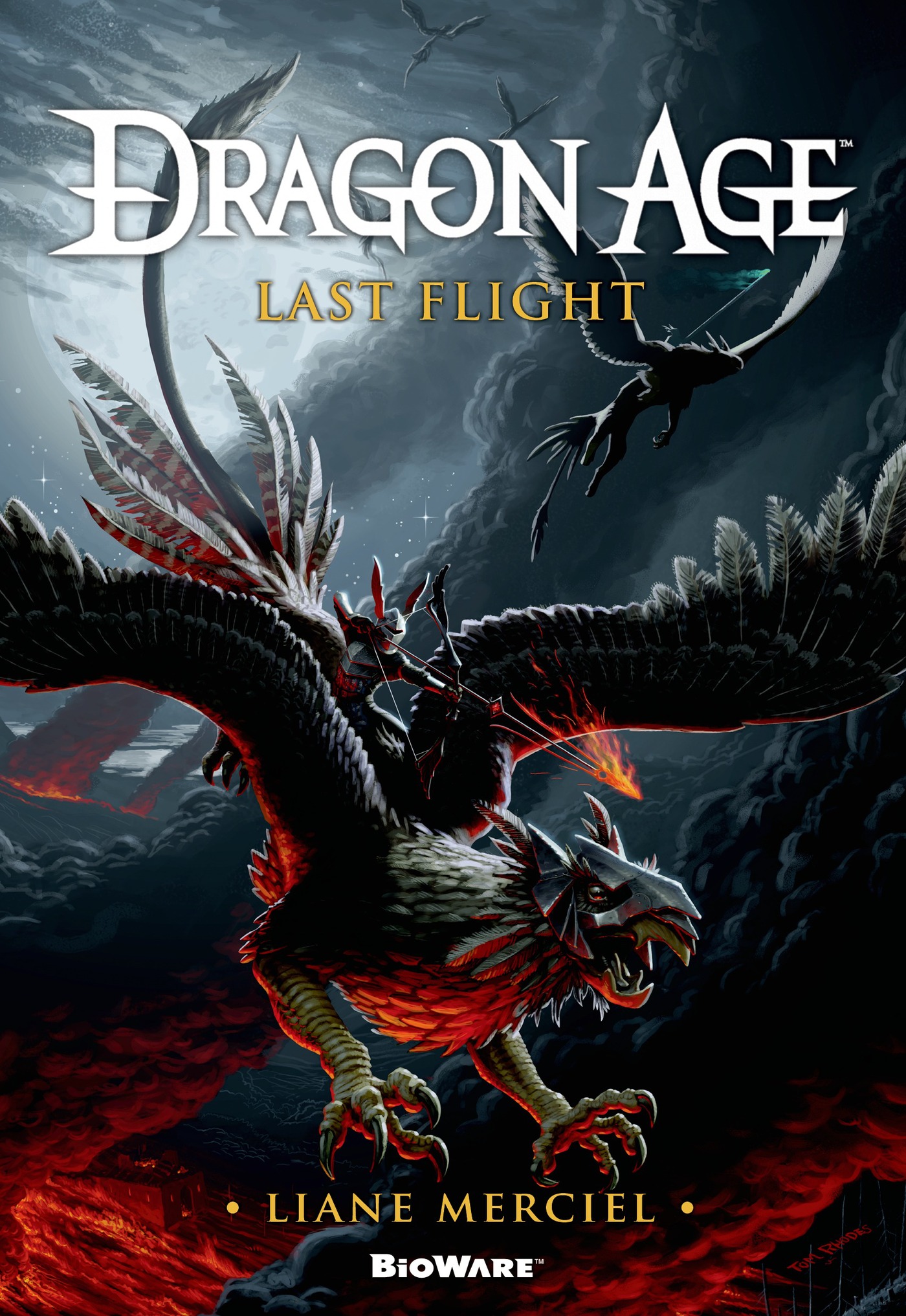 Dragon Age: Last Flight by Liane Merciel