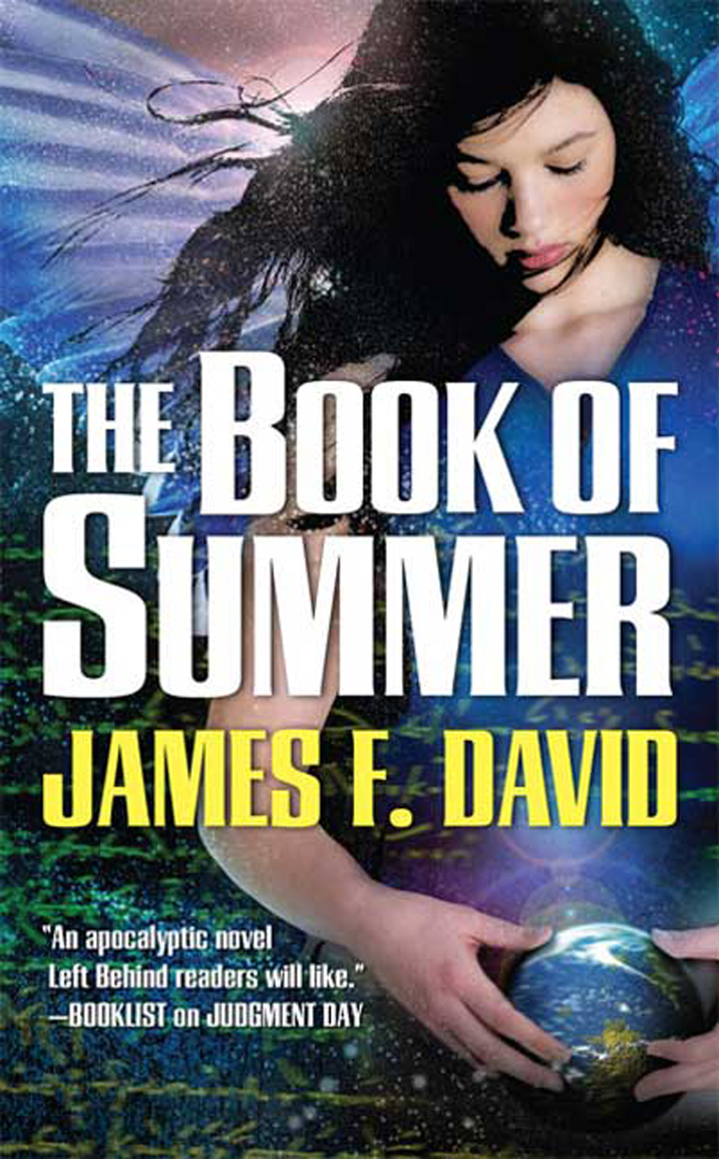 The Book of Summer by James F. David