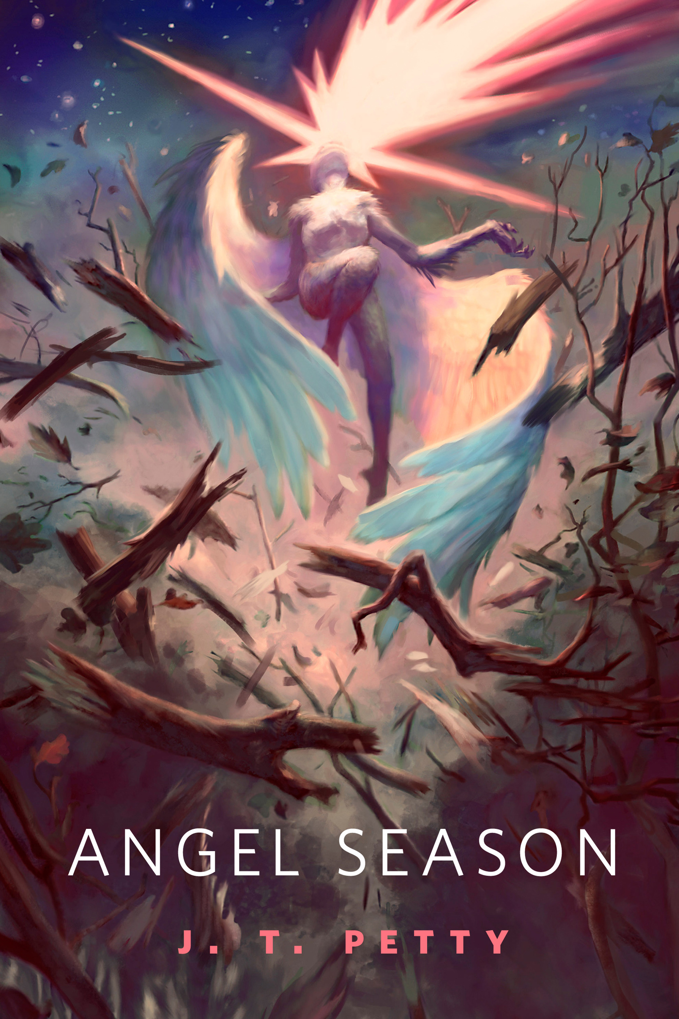 Angel Season : A Tor.Com Original by J. T. Petty