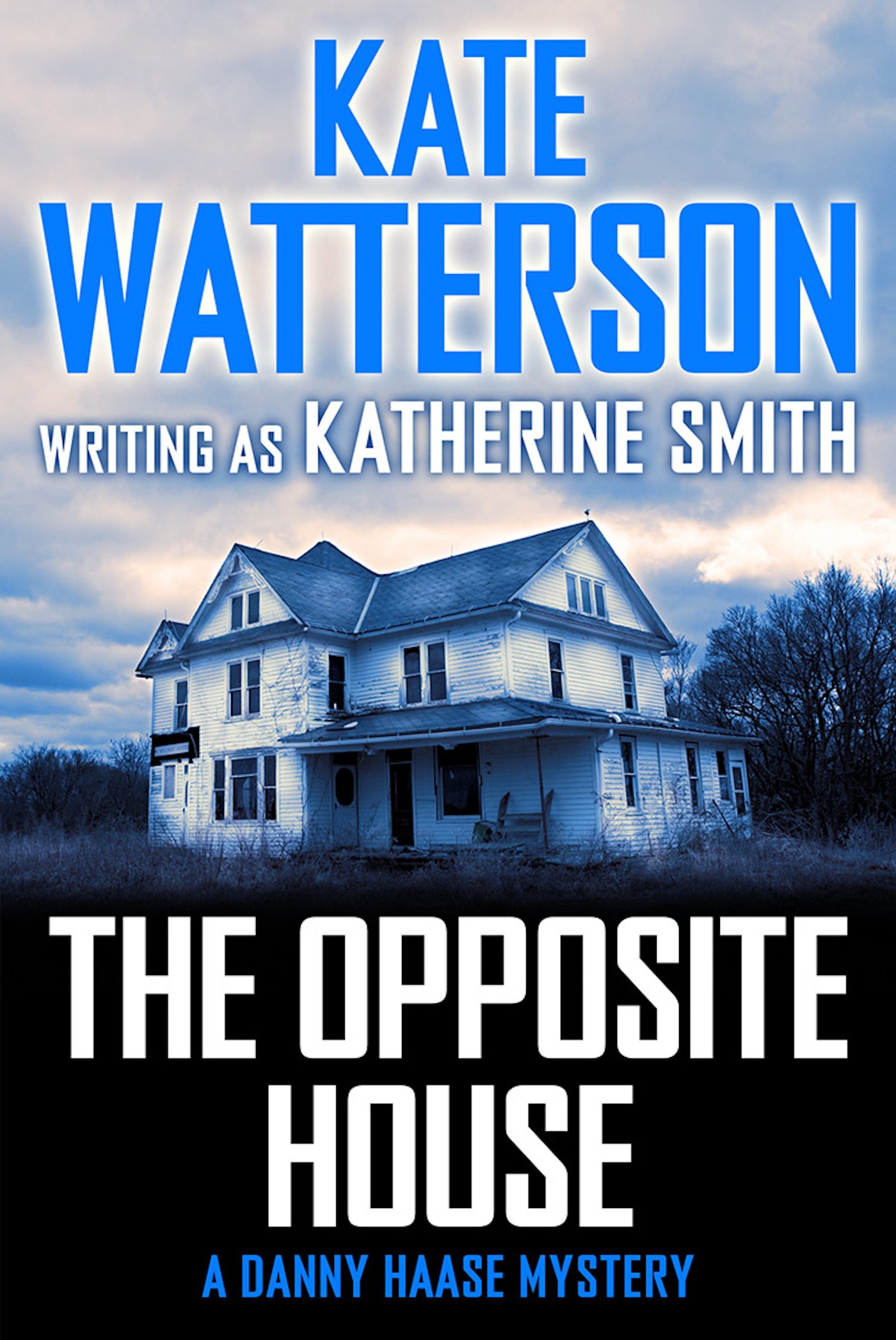 The Opposite House : A Danny Haase Mystery by Kate Watterson