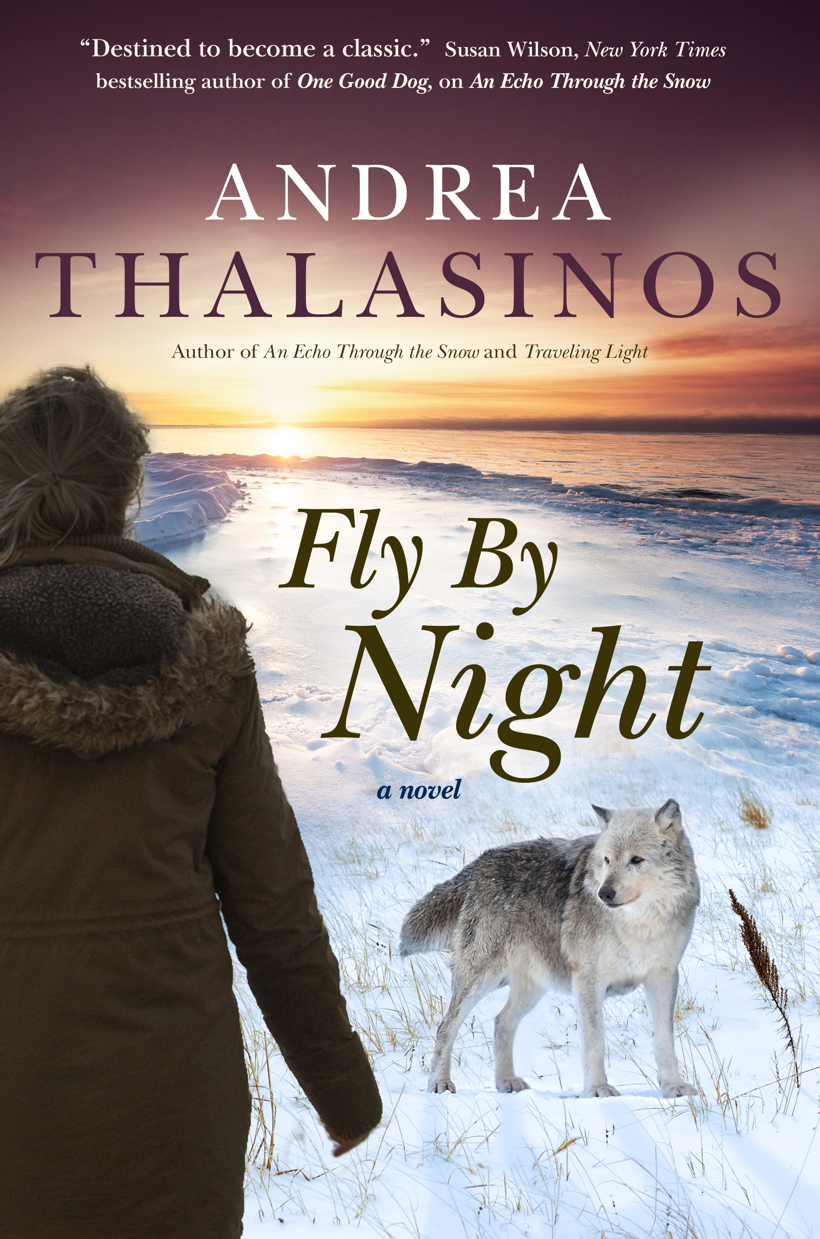 Fly By Night : A Novel by Andrea Thalasinos