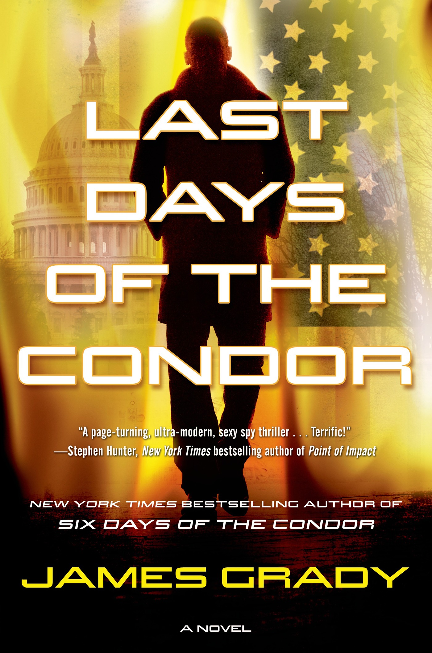 Last Days of the Condor : A Novel by James Grady