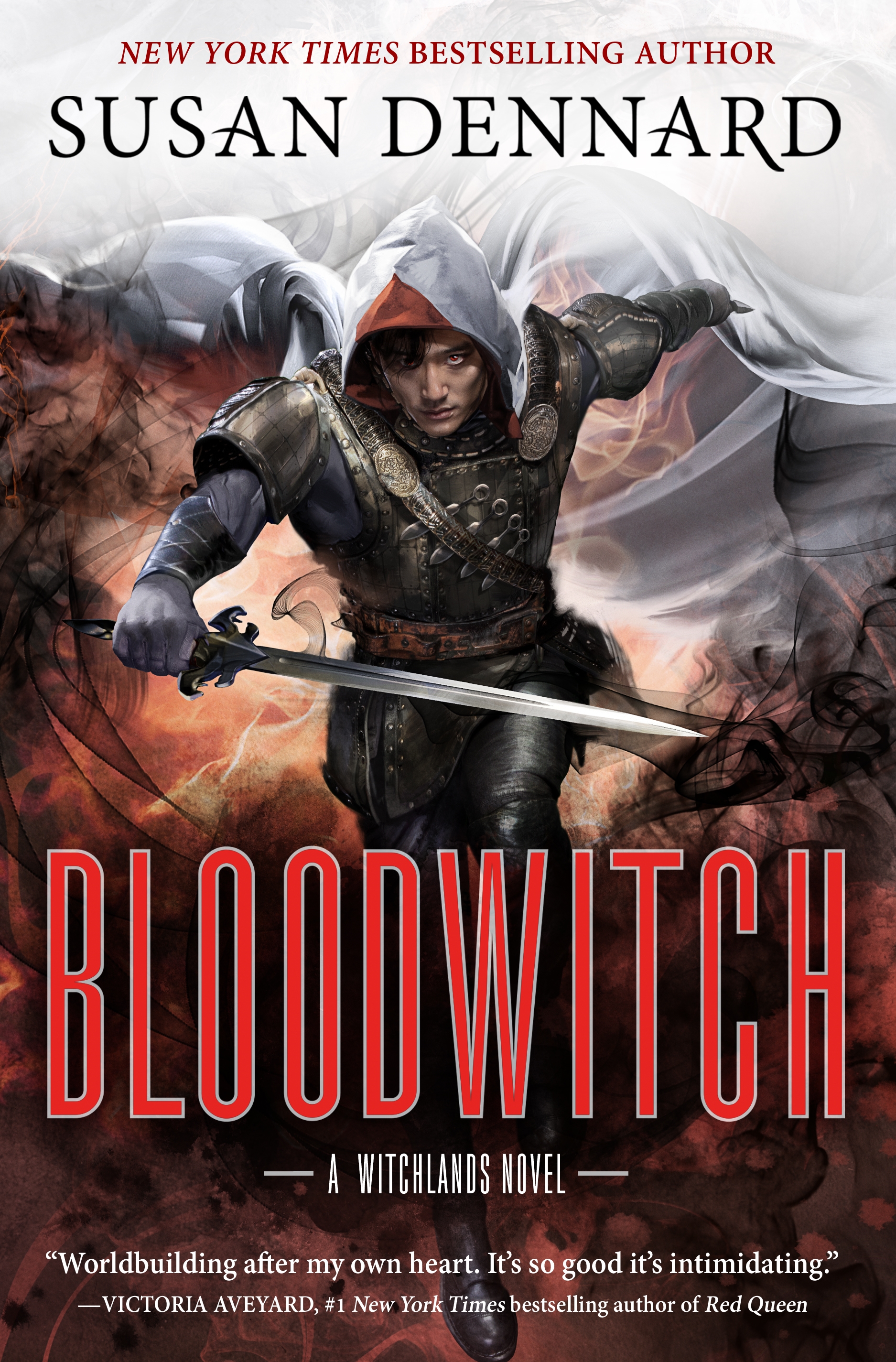 Bloodwitch : The Witchlands by Susan Dennard