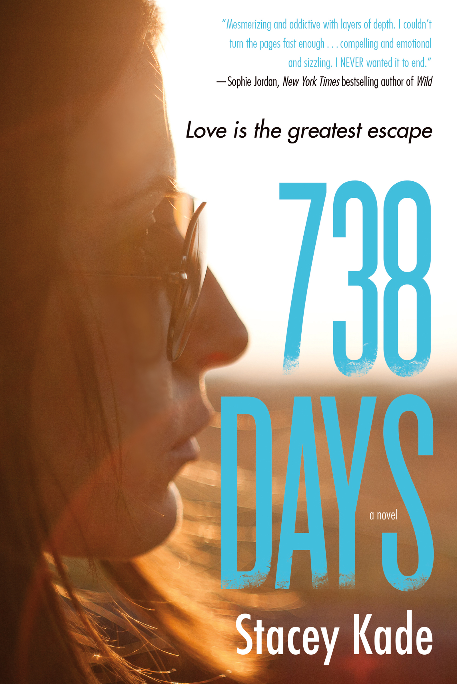 738 Days : A Novel by Stacey Kade
