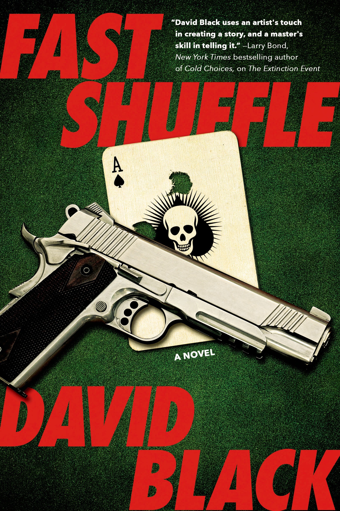 Fast Shuffle : A Novel by David Black