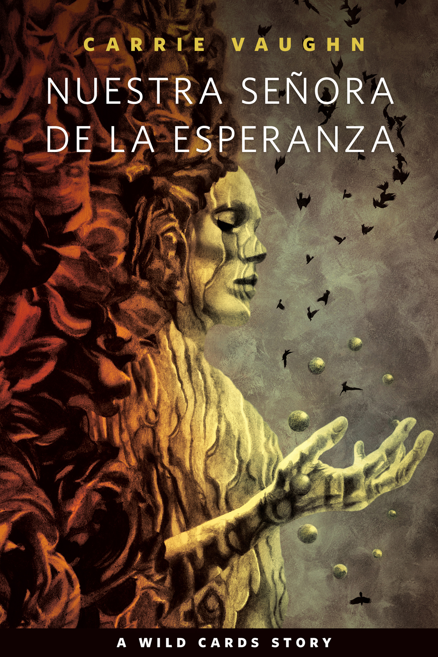 Nuestra Señora de la Esperanza : A Wild Cards Story by Carrie Vaughn