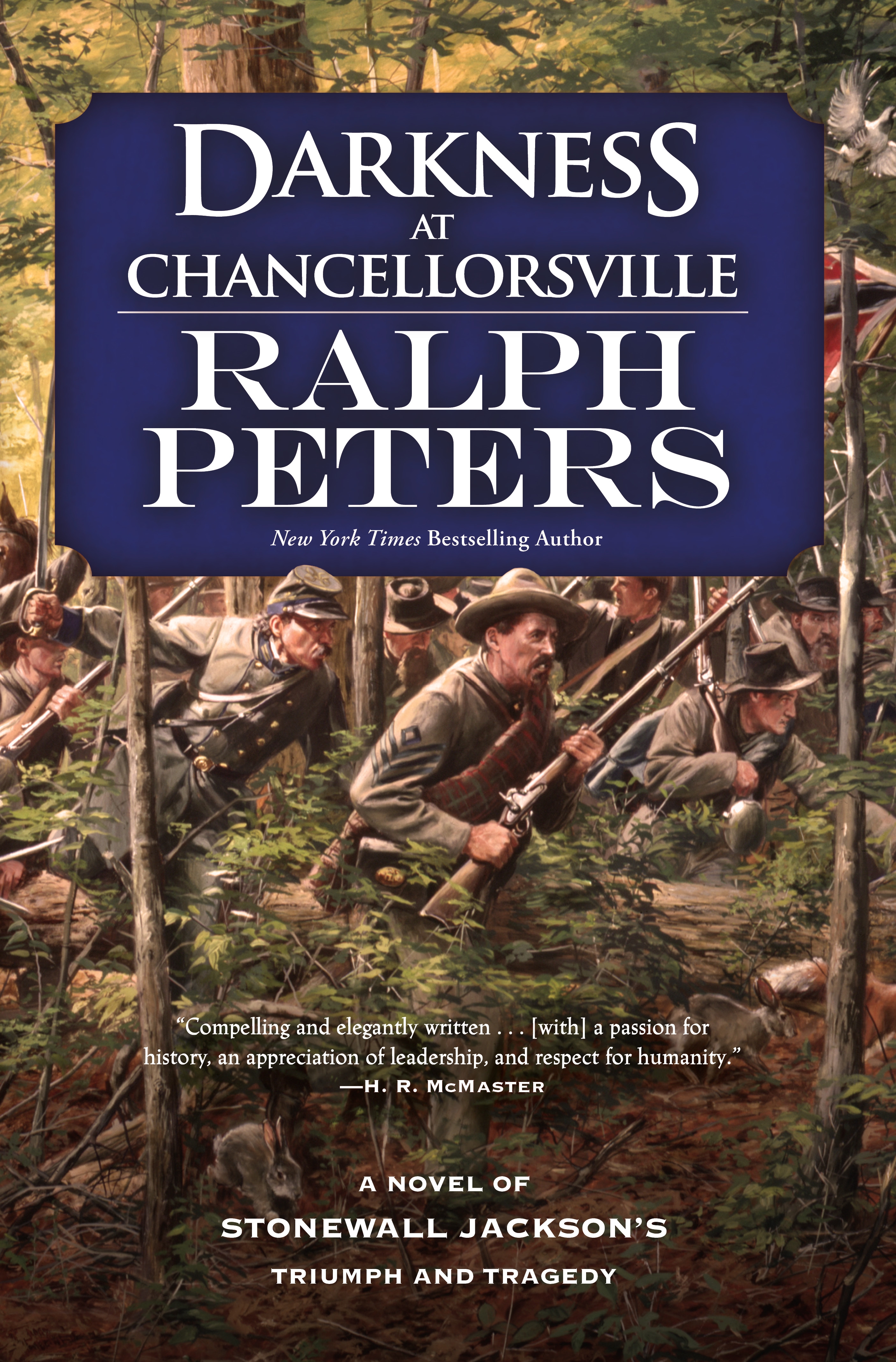 Darkness at Chancellorsville : A Novel of Stonewall Jackson's Triumph and Tragedy by Ralph Peters