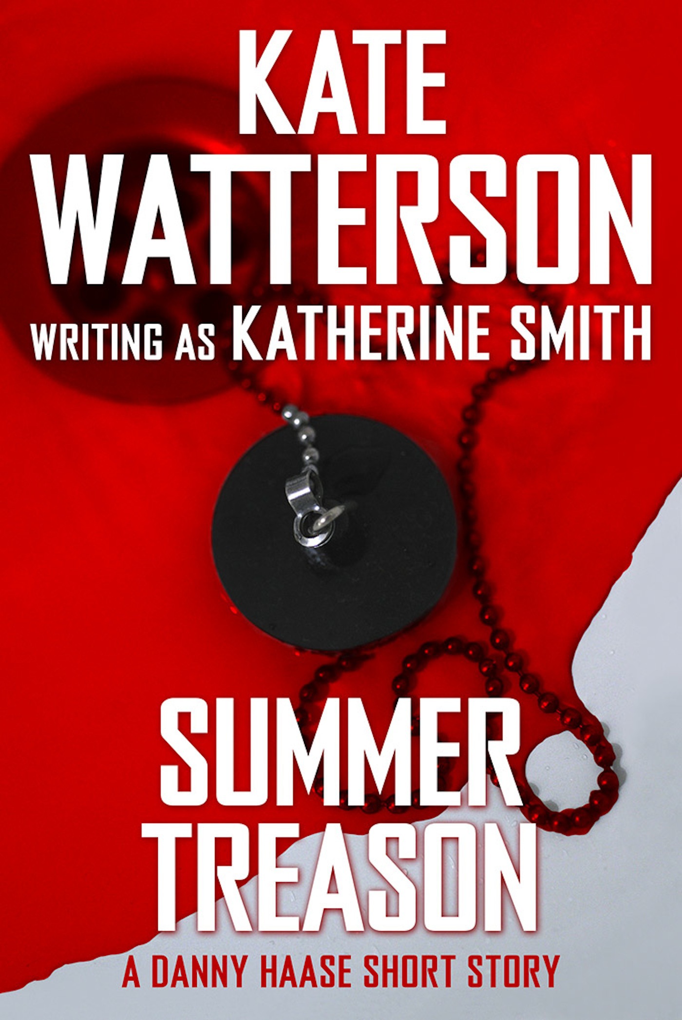 Summer Treason : A Danny Haase Mystery by Kate Watterson